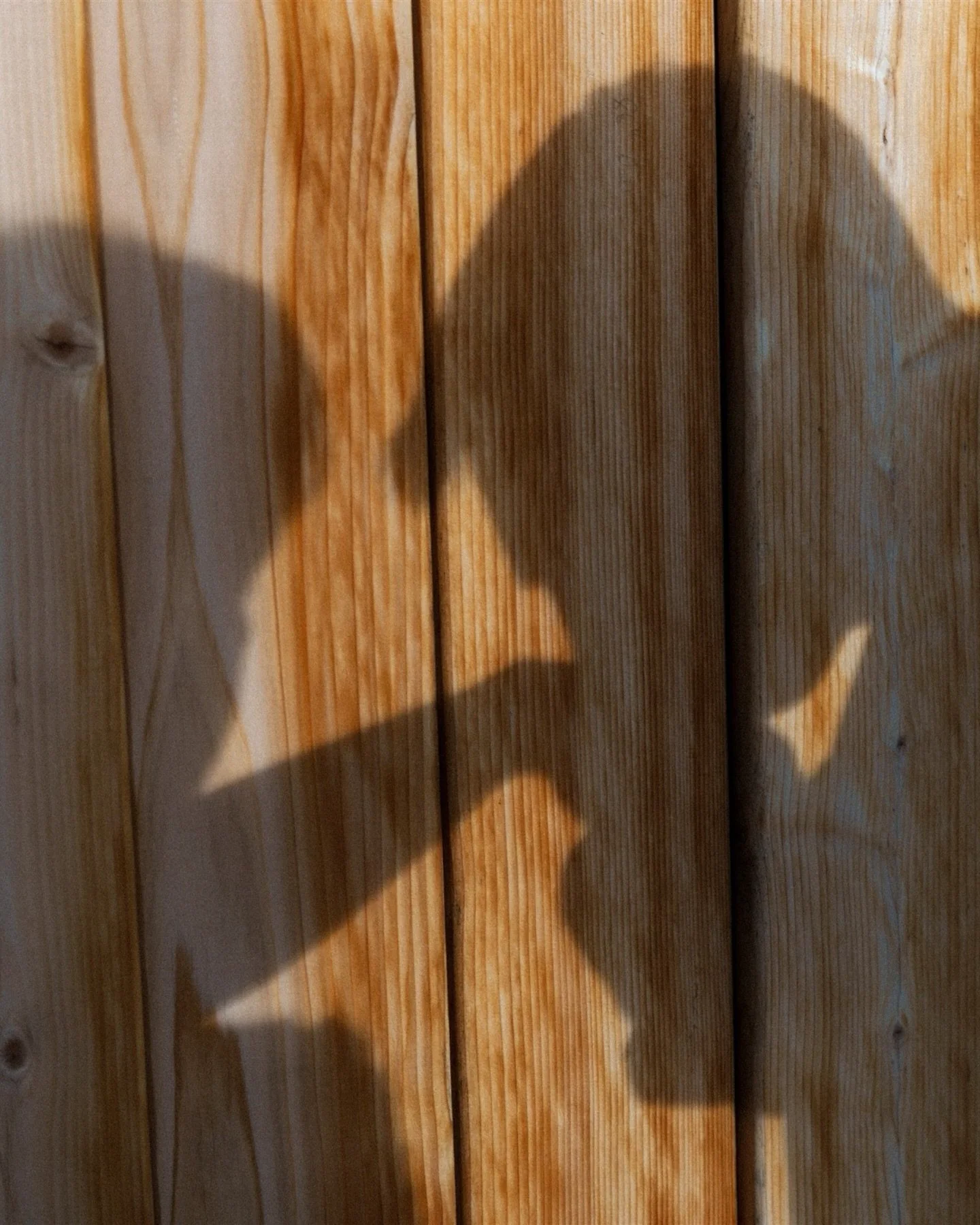 Celebrating Brianna+Ethan✨

This girl got everything she ever wanted- The love of her life, a beautiful wedding with deep traditions, surrounded by family and friends and a glorious day to celebrate it all!🤍