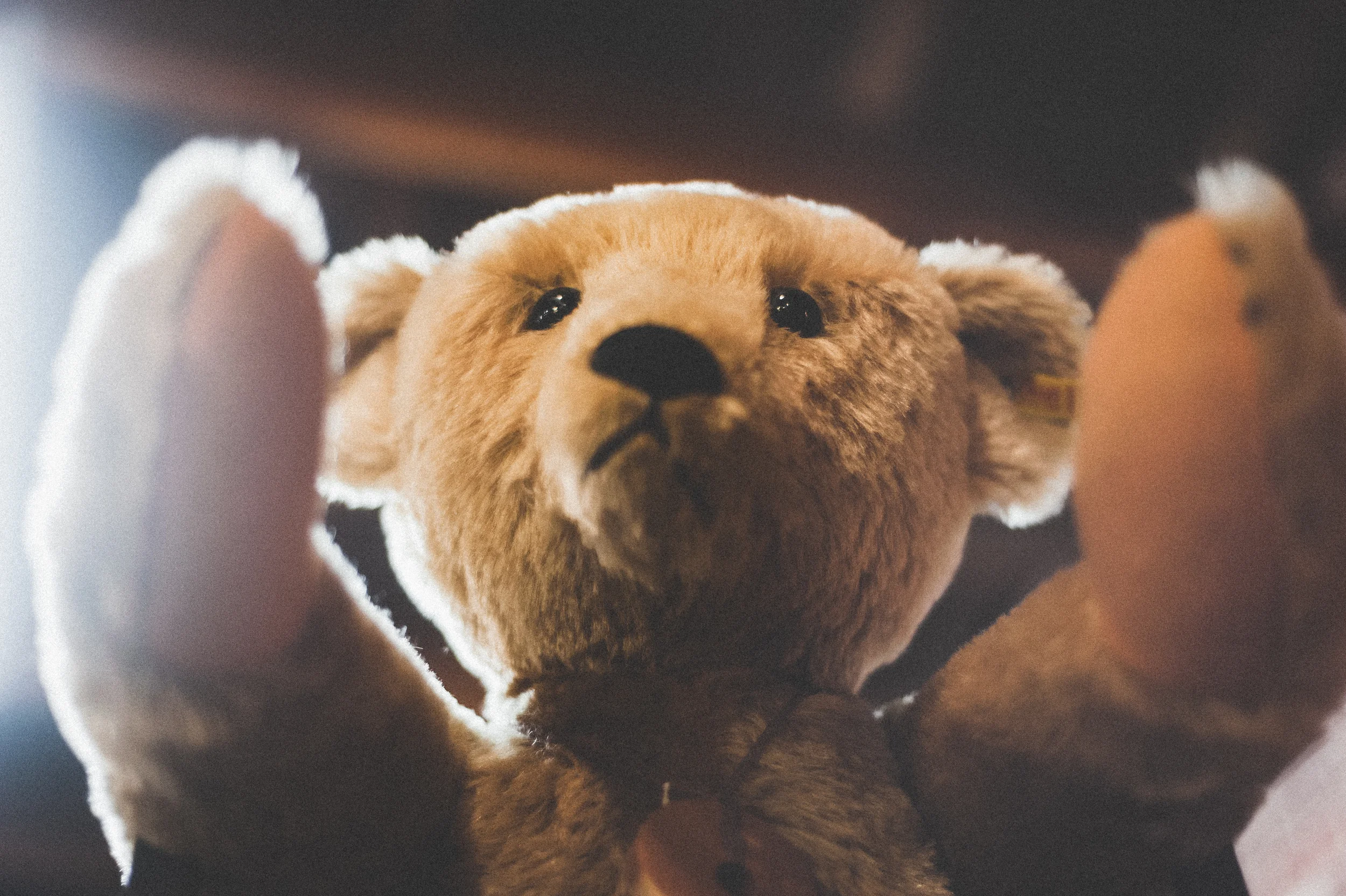 A slightly disturbing, cuddly bear.