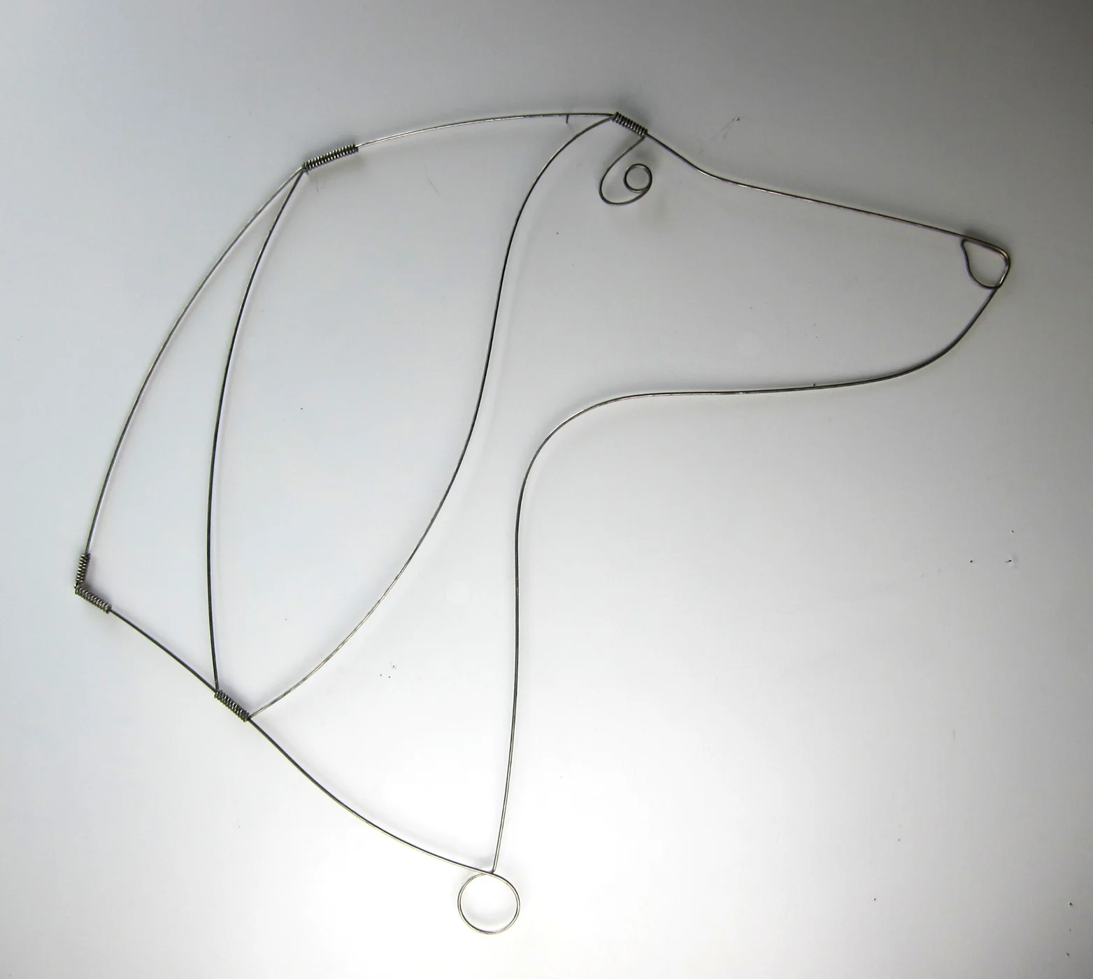 dog(web)16.jpg