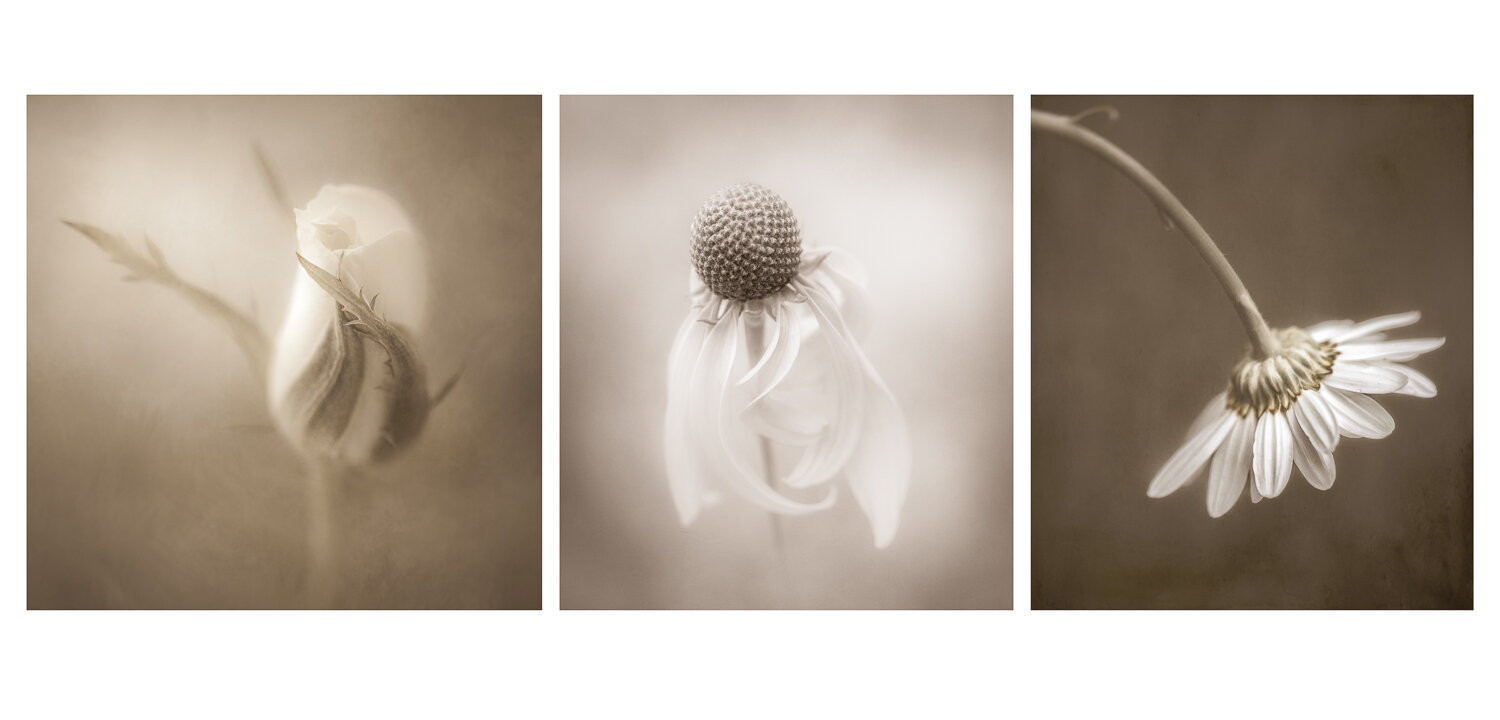 Vintage Floral Triptych