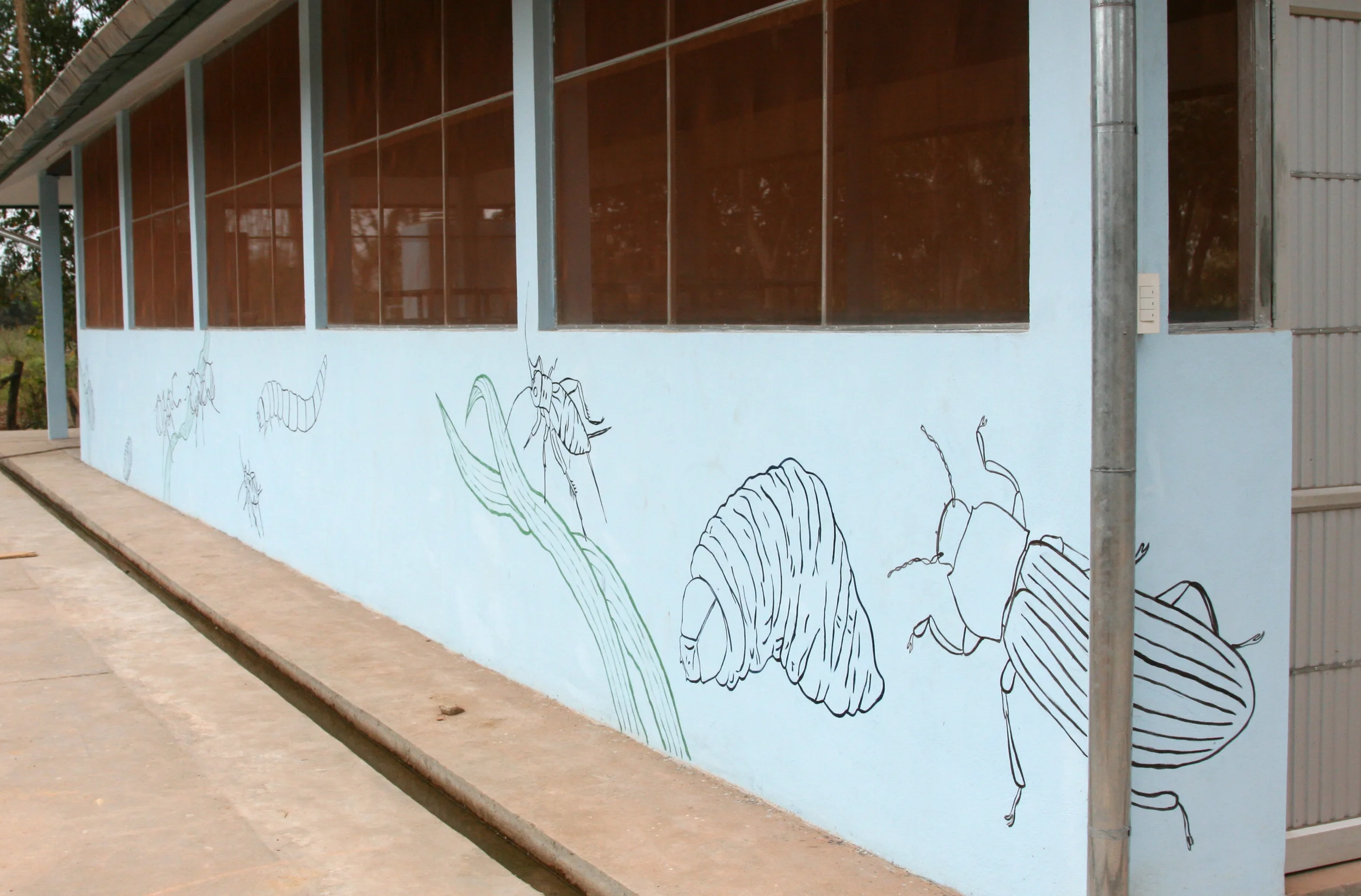 This mural was commissioned by the Food and Agriculture Organization of the United Nations on the insect farm at Vientiane University.