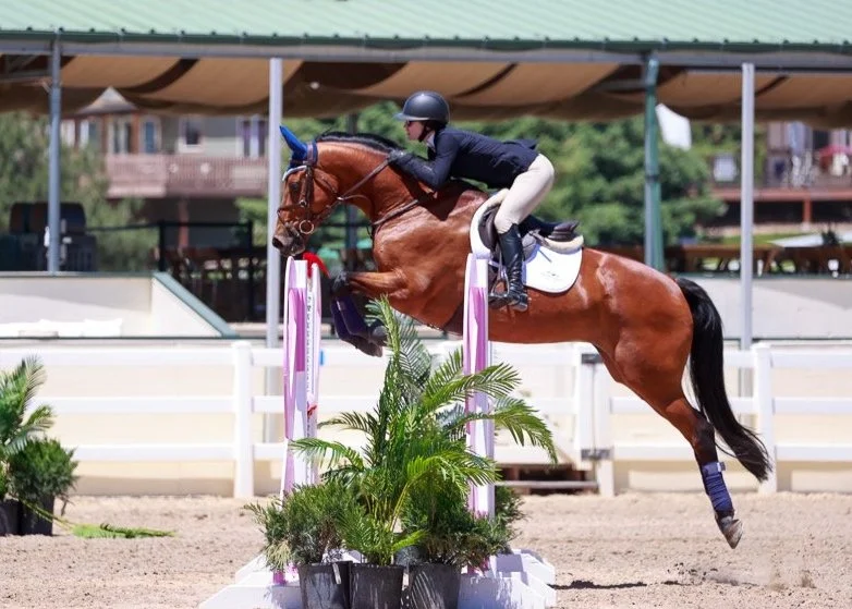 About — Front Range Show Stables