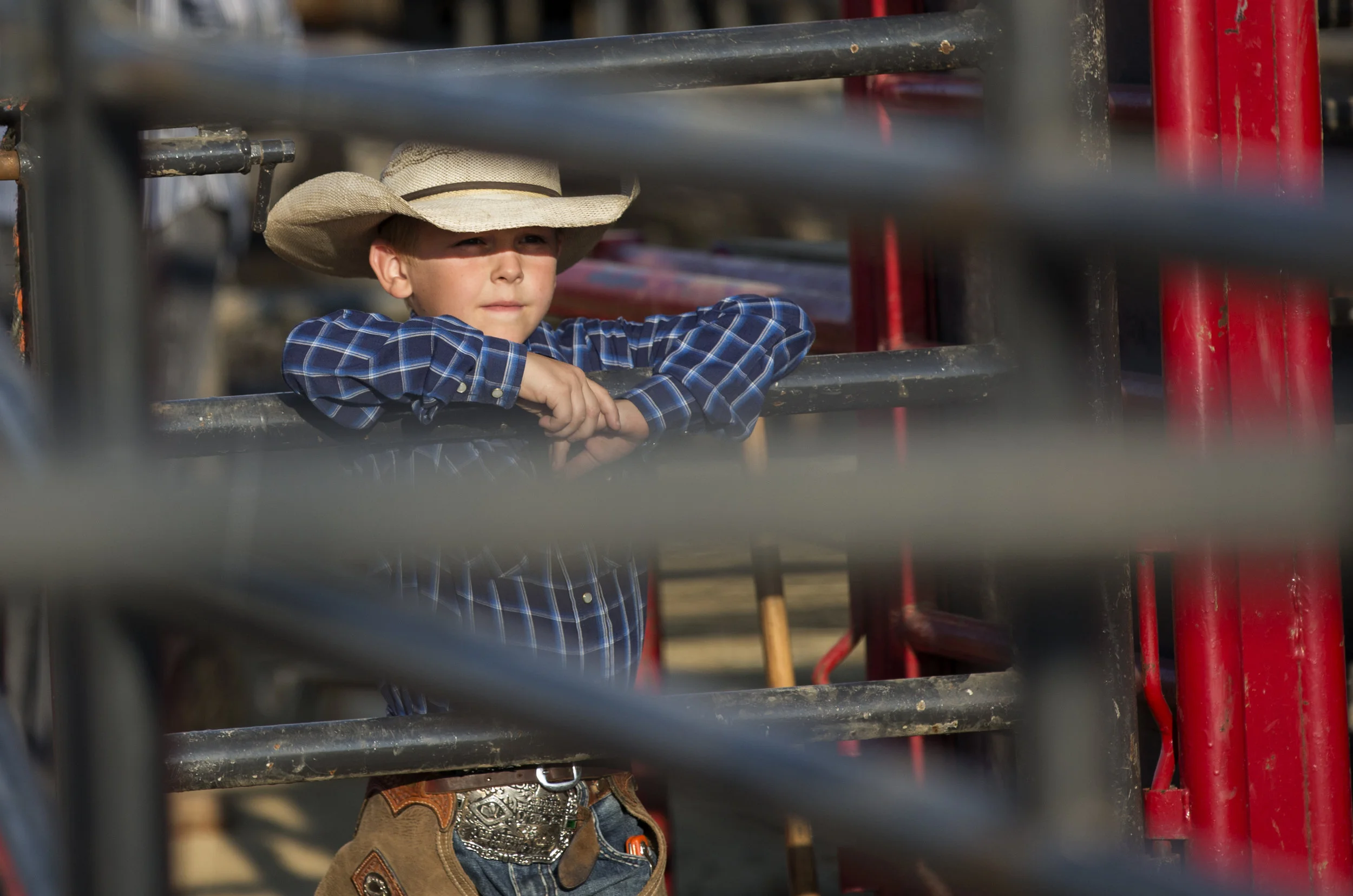 A young boy watches the rodeo from the sidelines at the Indianapolis State Fair.