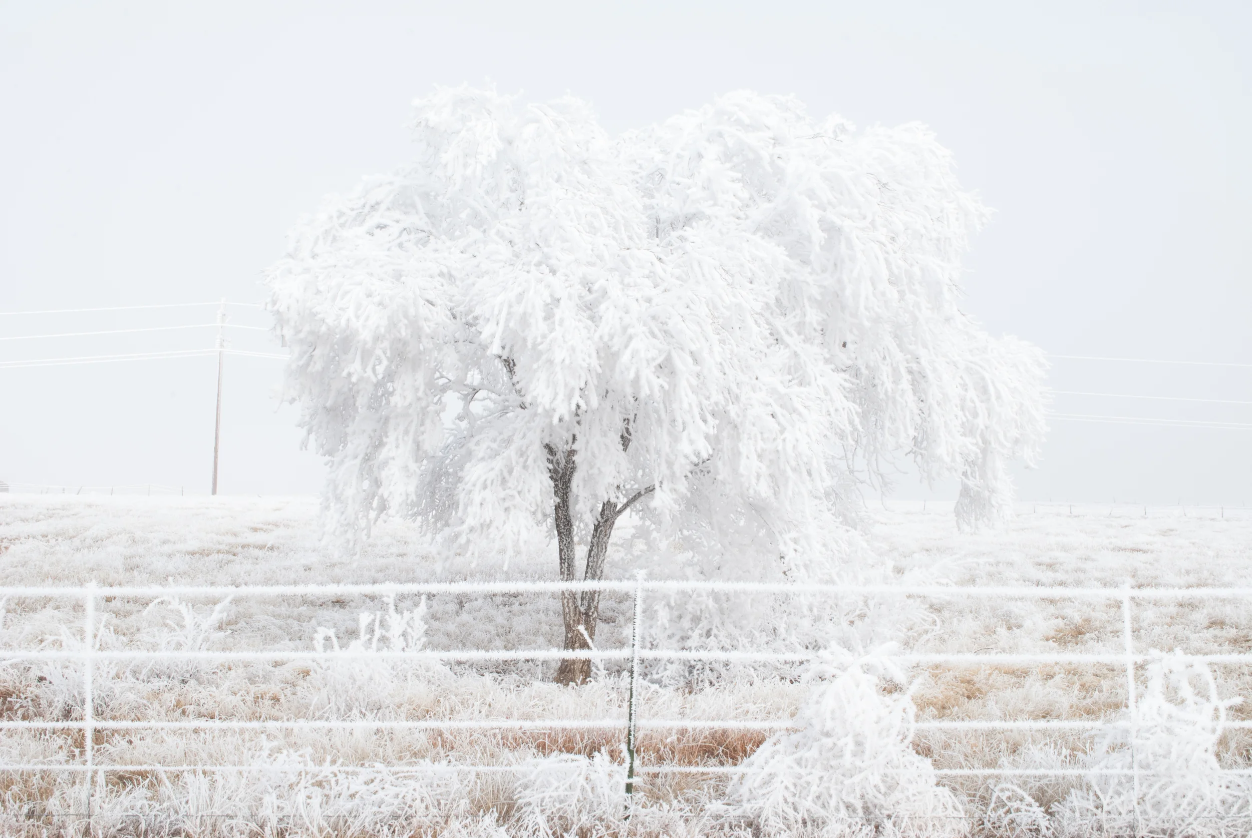 untitled-3.jpg