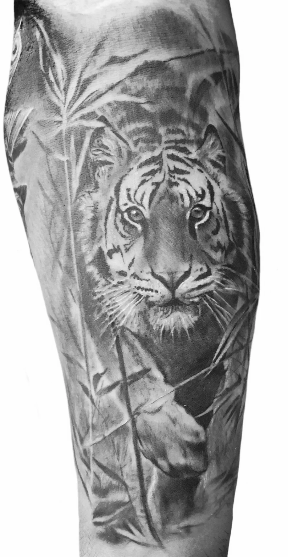 Tiger Tattoo