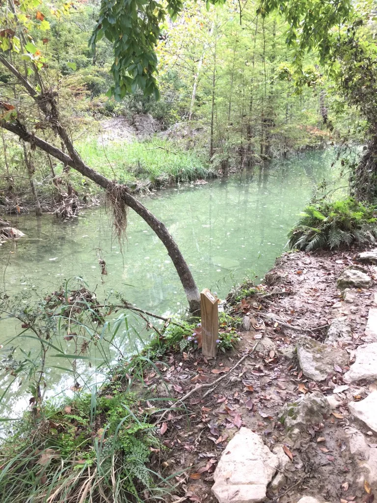 trail-to-hamilton-pool