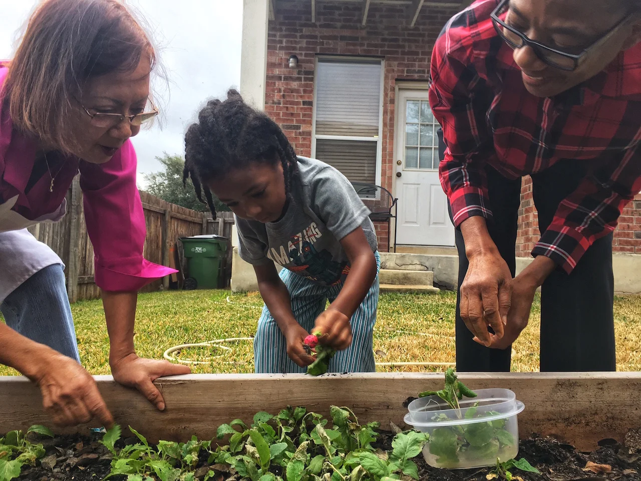 Little Sir and two of his grandmothers picking veggies from our garden for Christmas dinner last year.