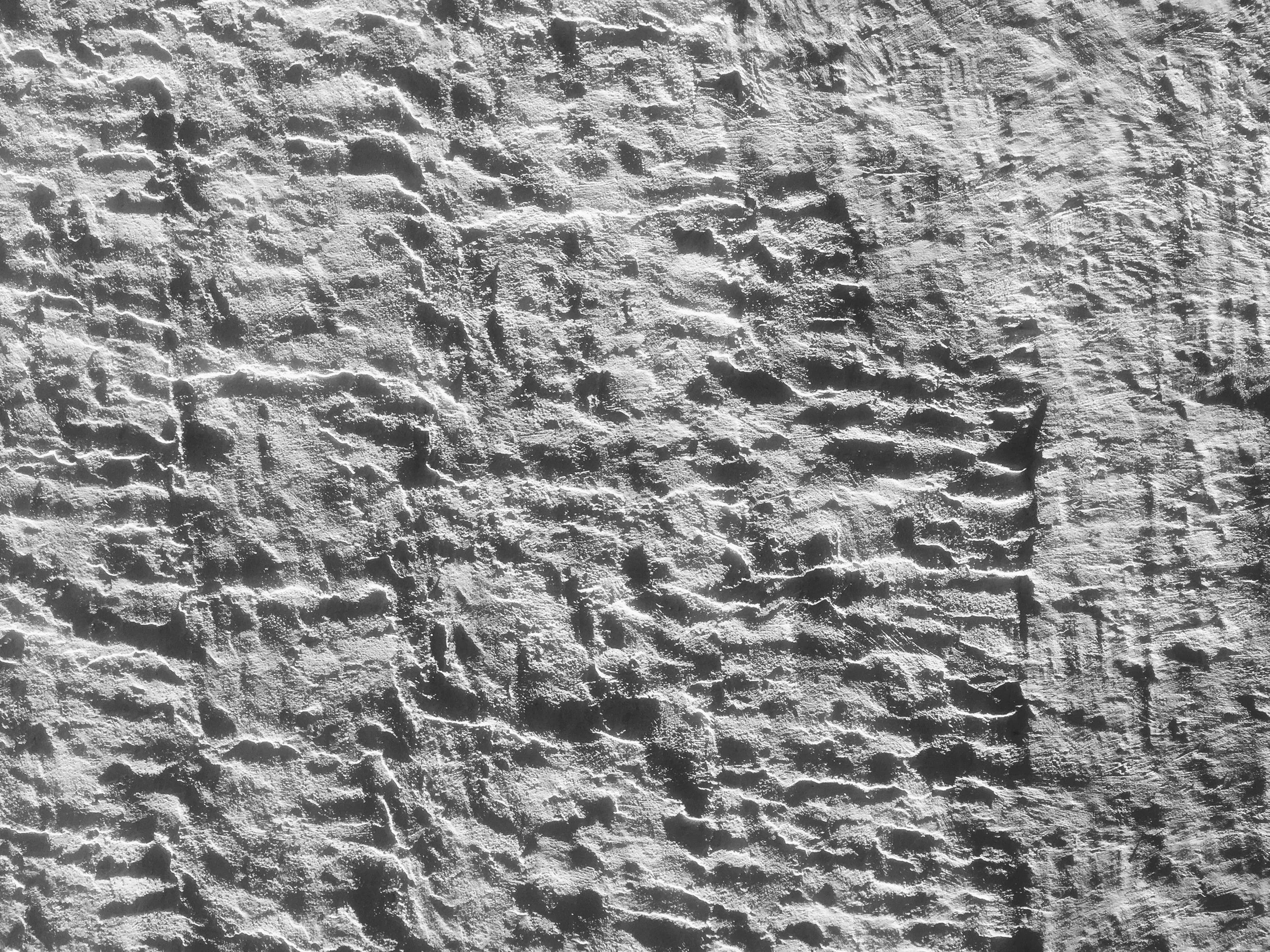 image1.JPG