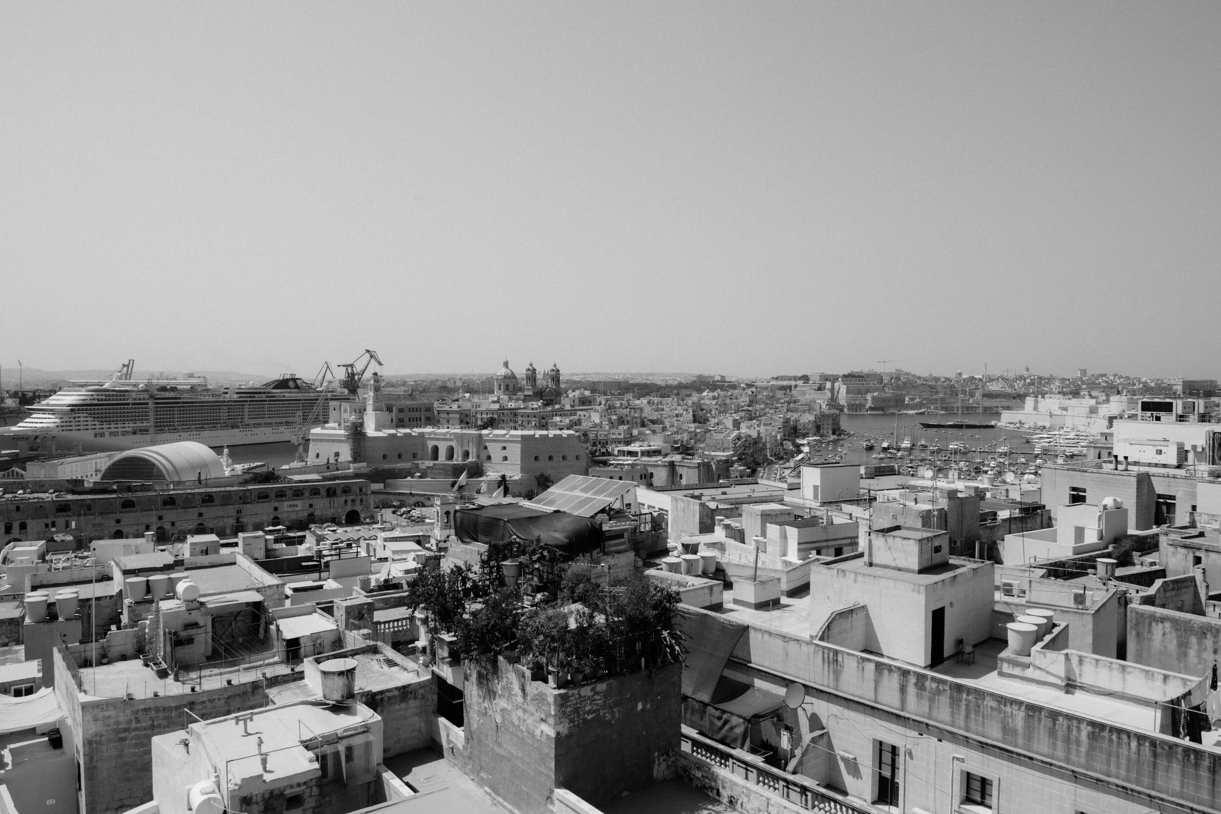 DSC_1700.jpg