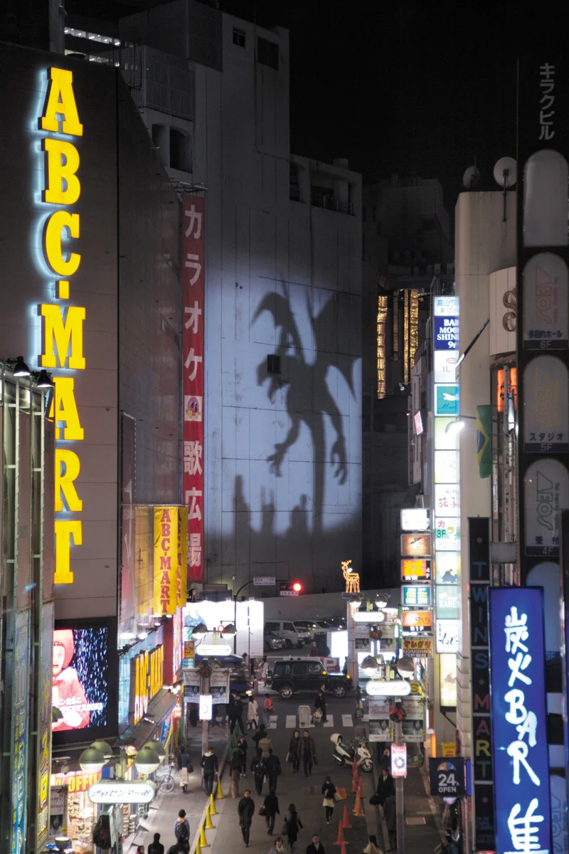 Big Shadow Project