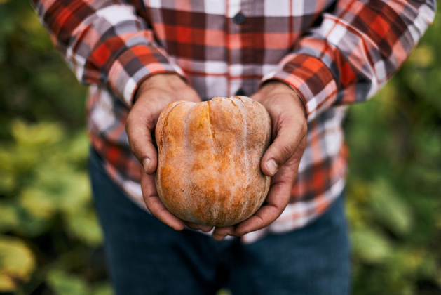 Pumpkin.png