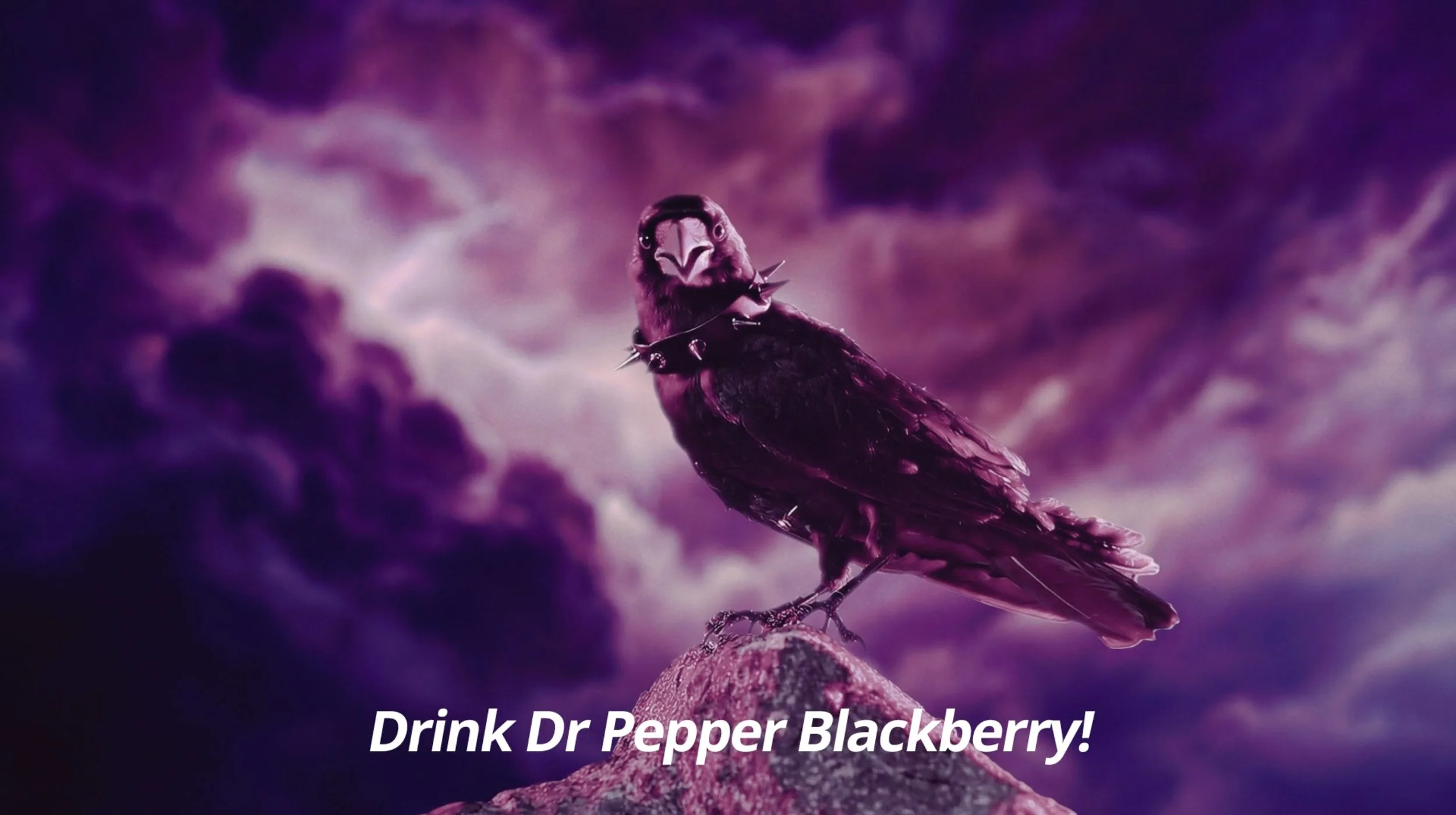 Screenshot 2026-02-09 at 6.48.09 PM.jpg