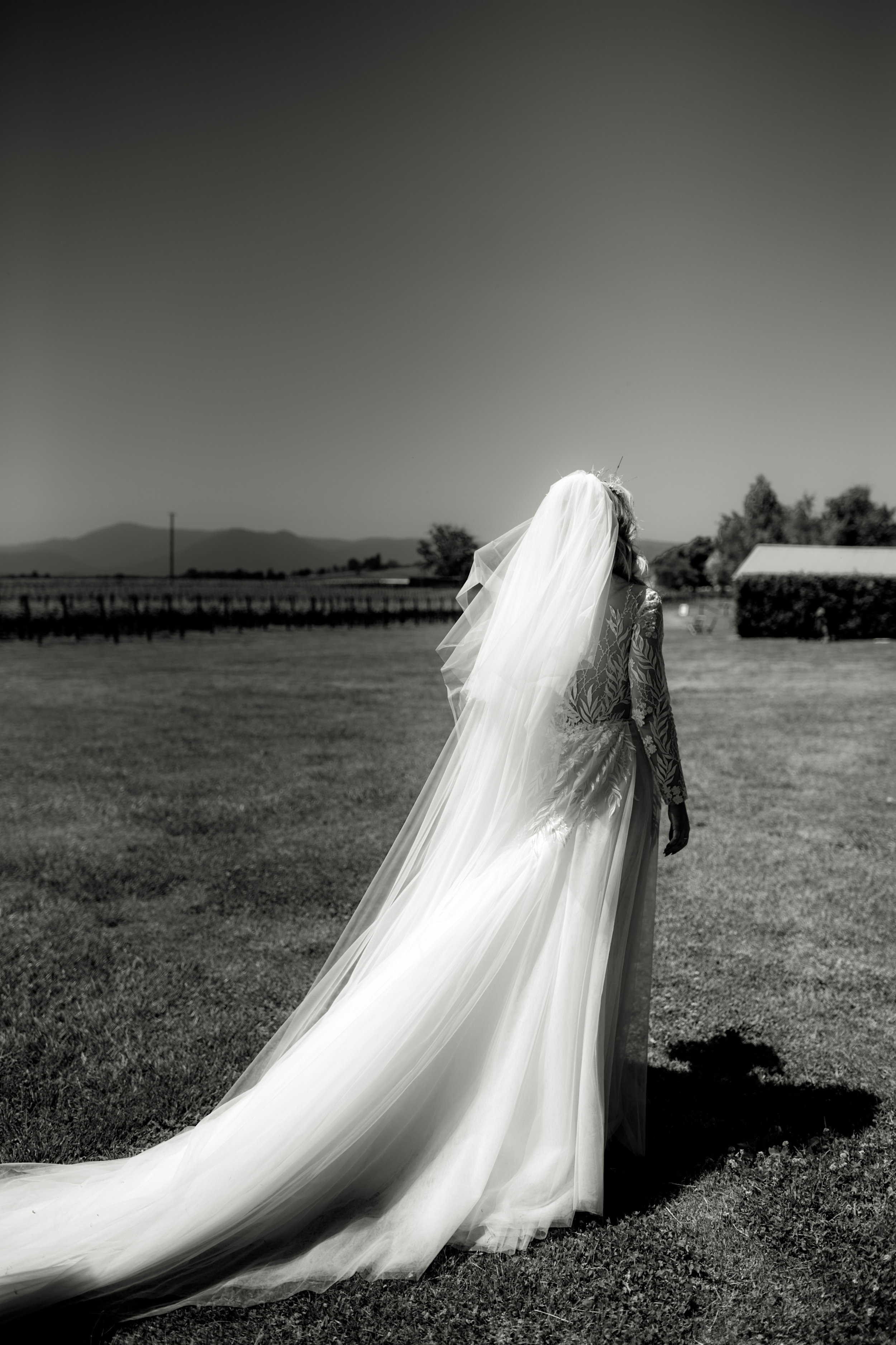 I-Got-You-Babe-&.Co.-Stones-of-the-Yarra-Valley-Wedding-Beverly-Ross0113.JPG