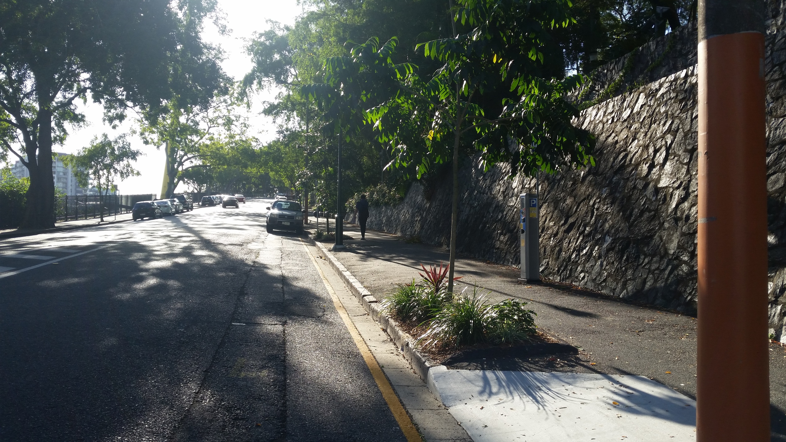 Albert Street Self-Watering Street Tree