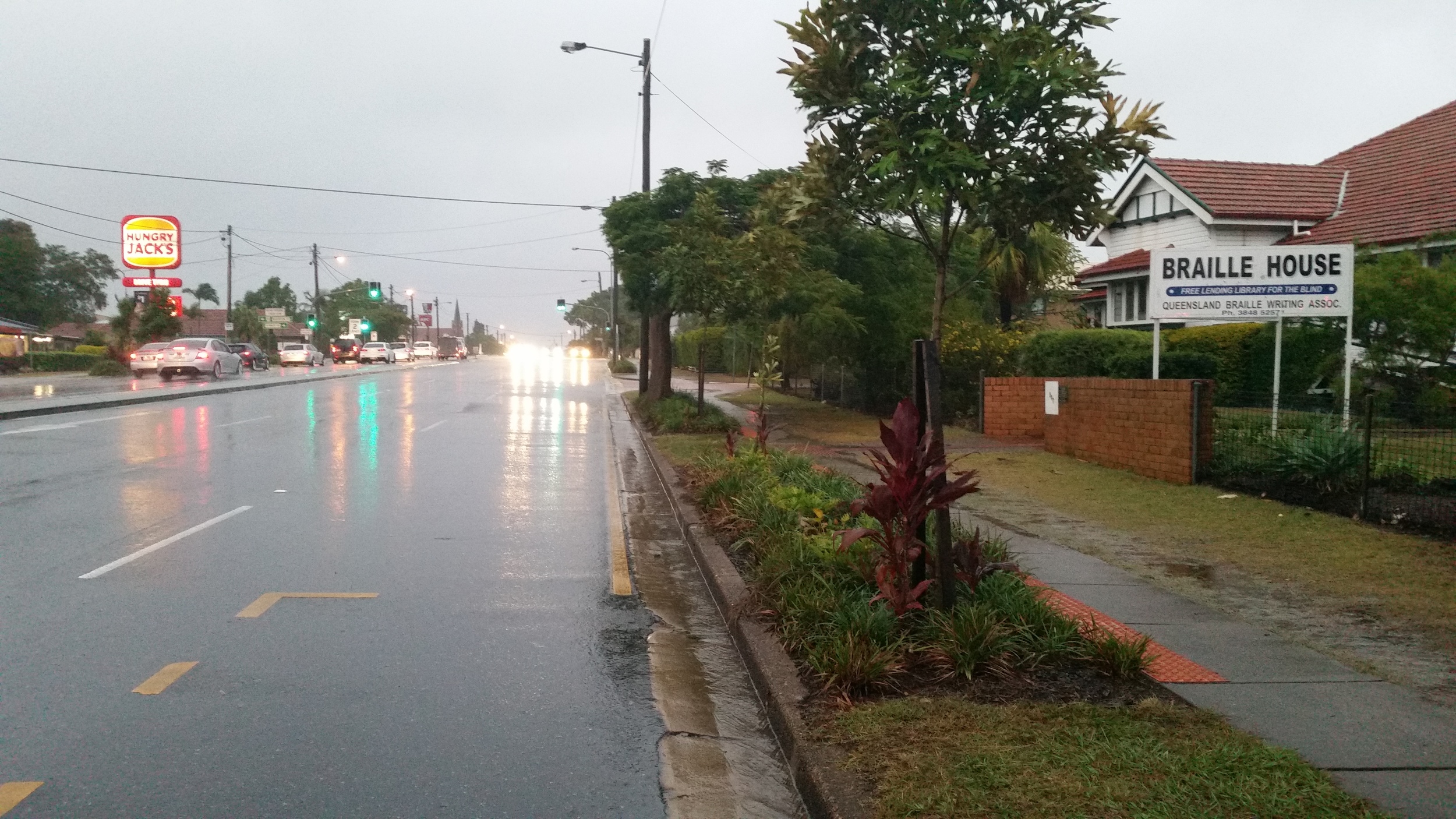 Ipswich Rd Self Watering Street Tree