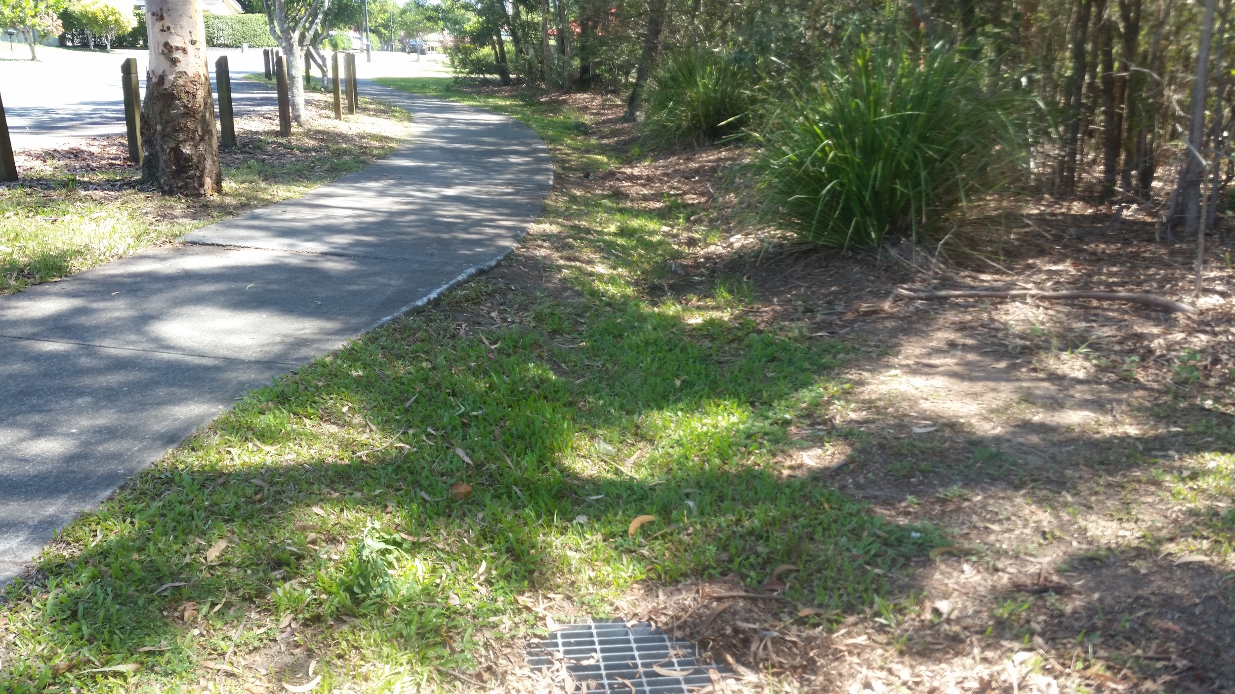 Jubilee Ave Bioretention System