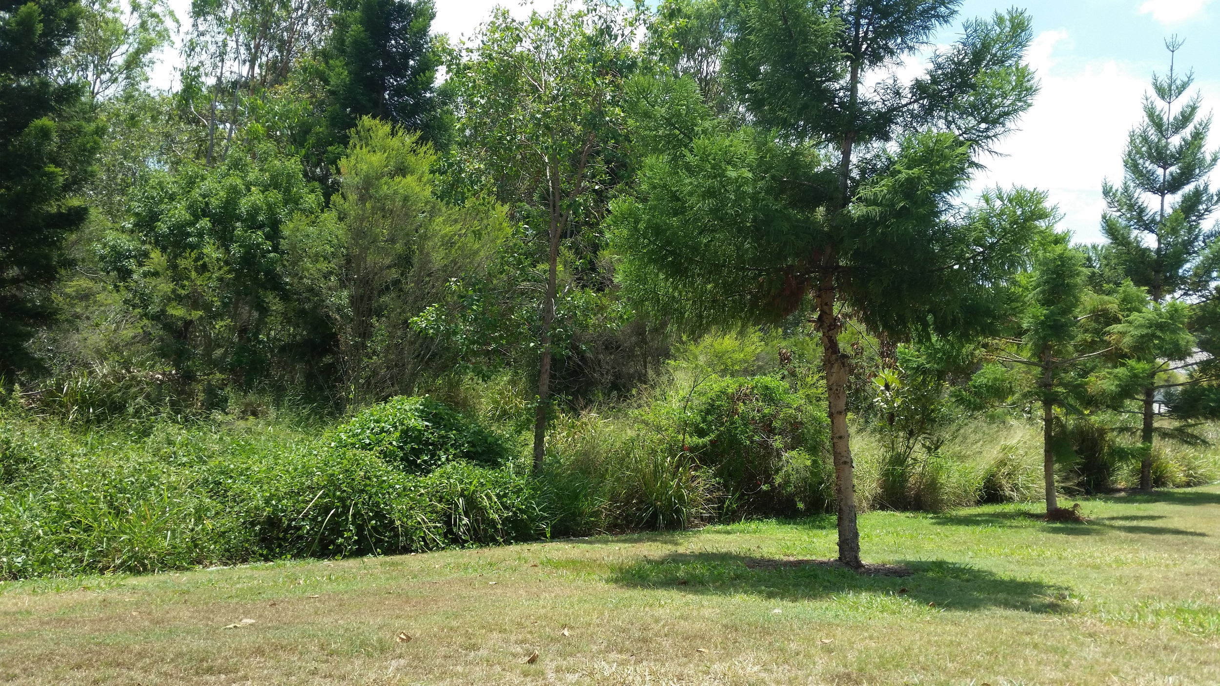 Lancewood Place Bioretention System