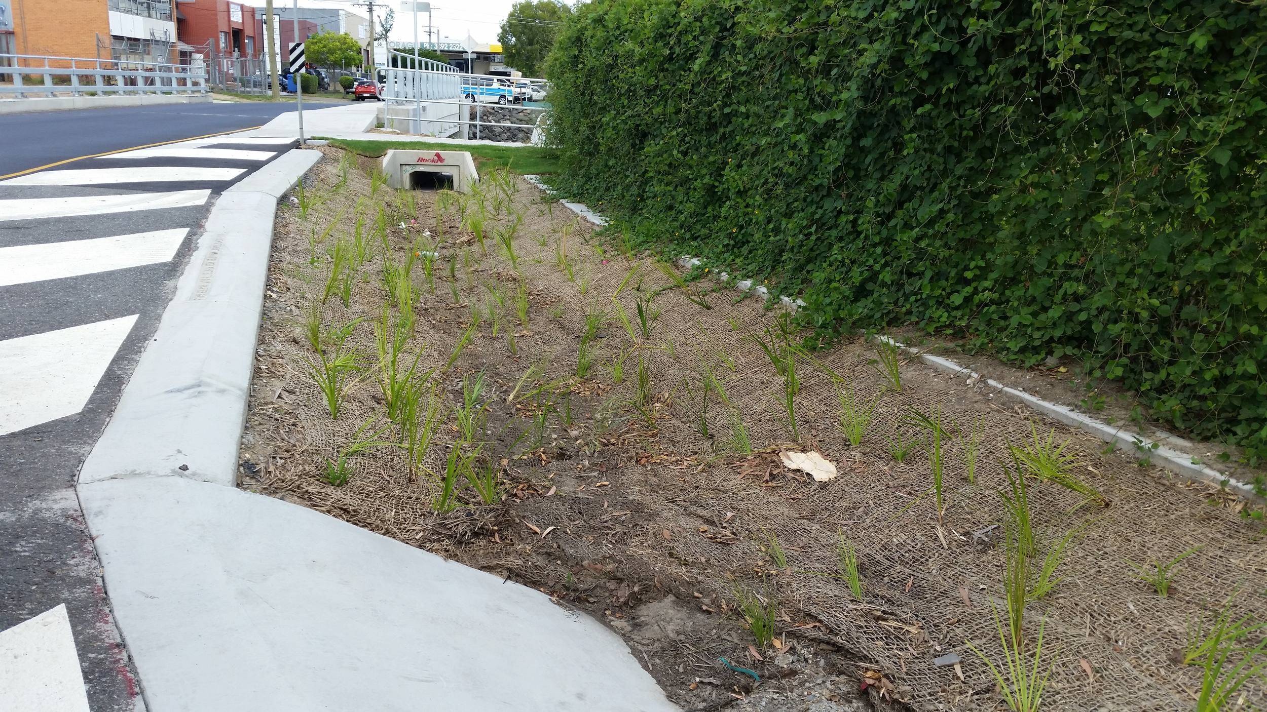 Moorley St Bioretention System