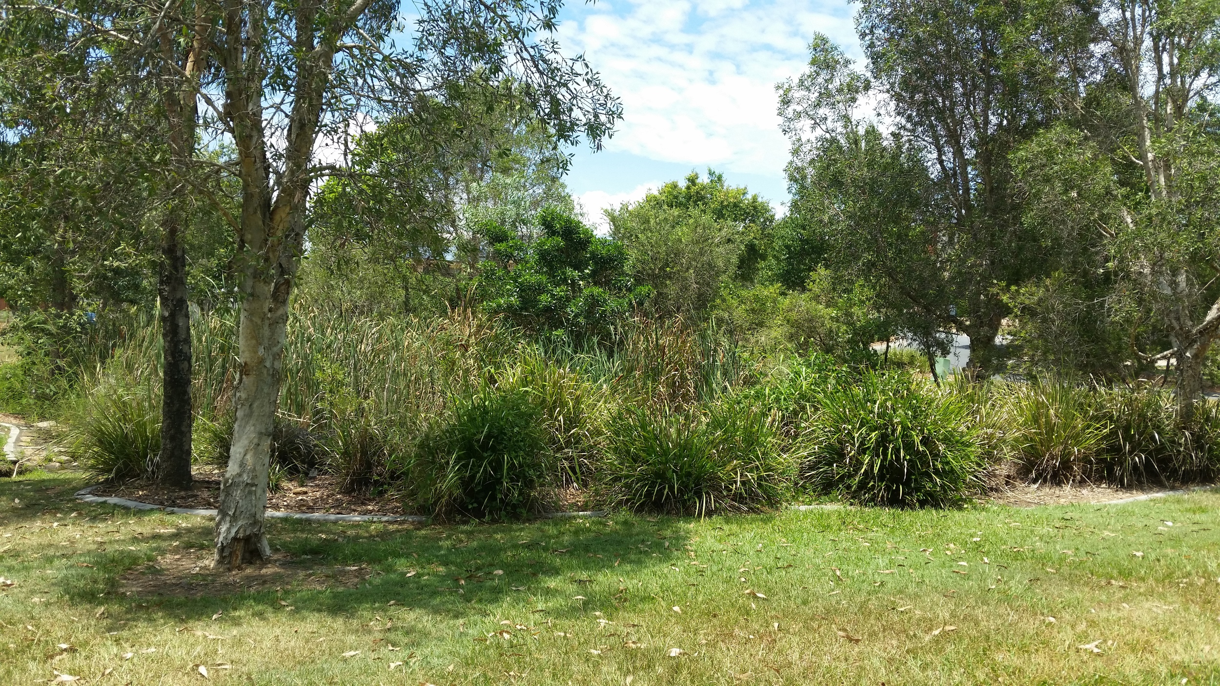 Rise Place Bioretention System