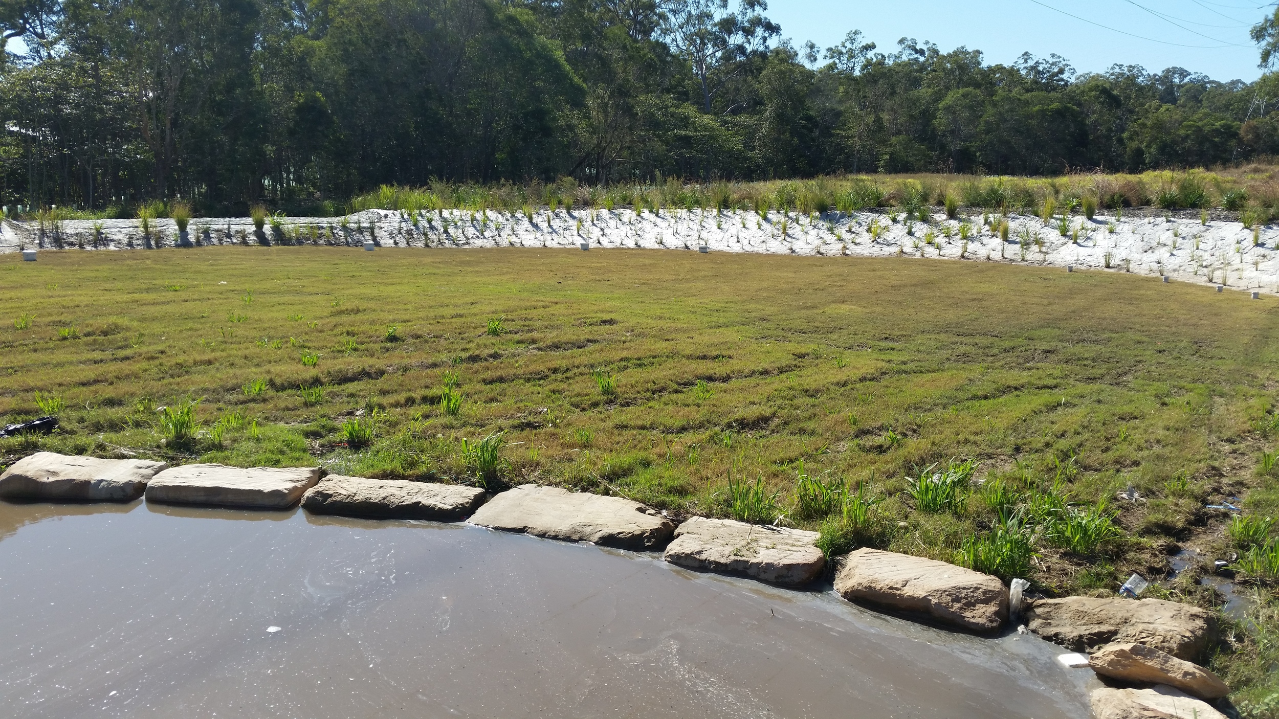 Ravenbourne Circuit Bioretention System