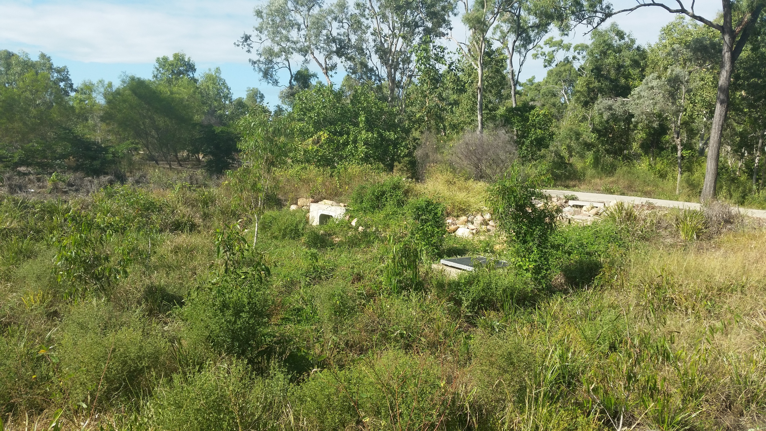 Yalbira Avenue Bioretention System
