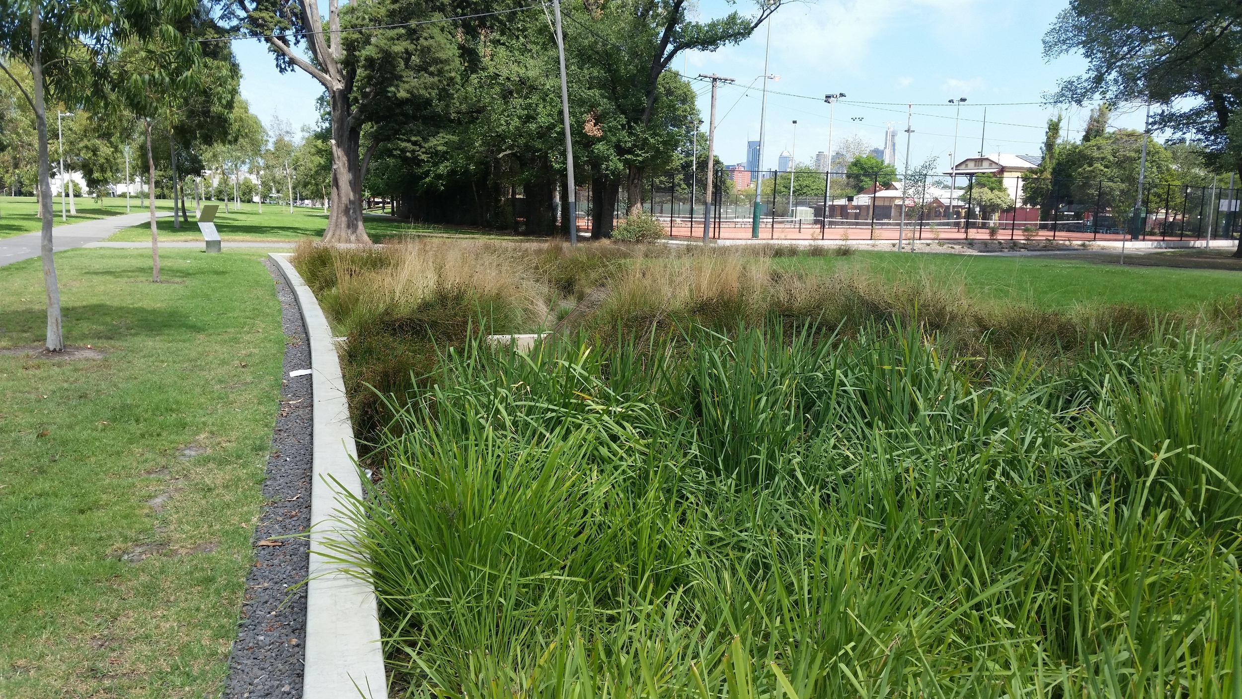 Edinburgh Gardens Bioretention System