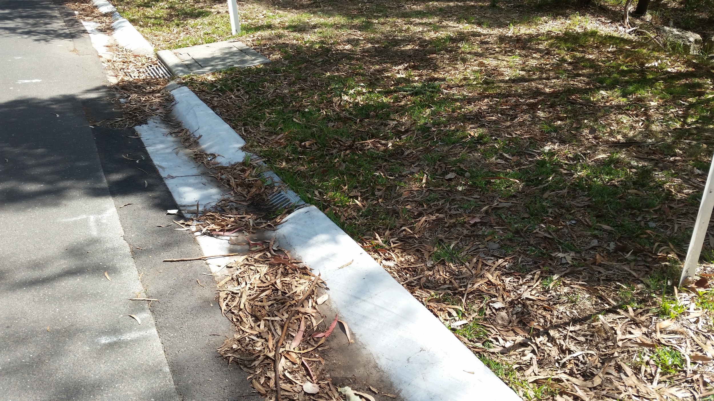 Sanctuary Place Bioretention