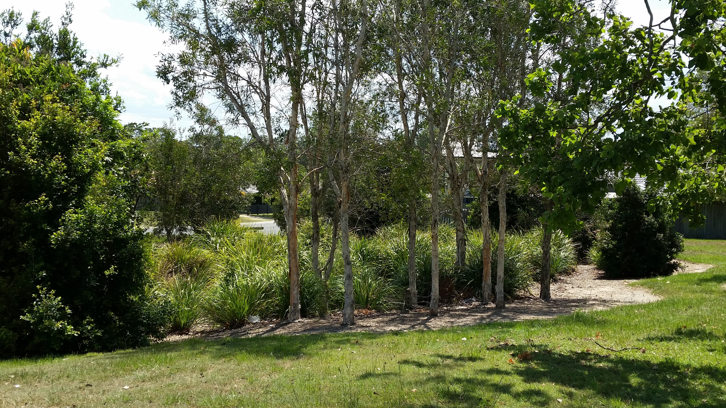 Ainslie St Bioretention System