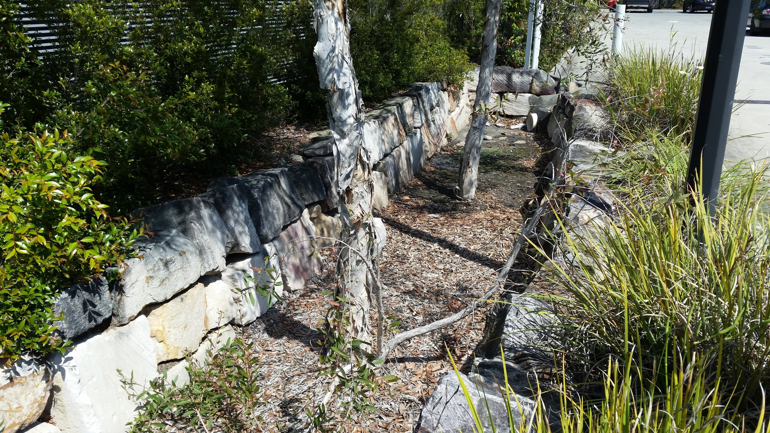 Augustine Heights Caltex Bioretention System 1