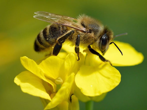 “You catch more flies with honey, than with vinegar.”