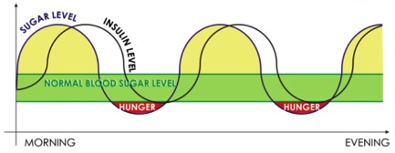 lchf diet