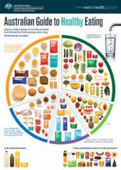 healthy meals home delivered