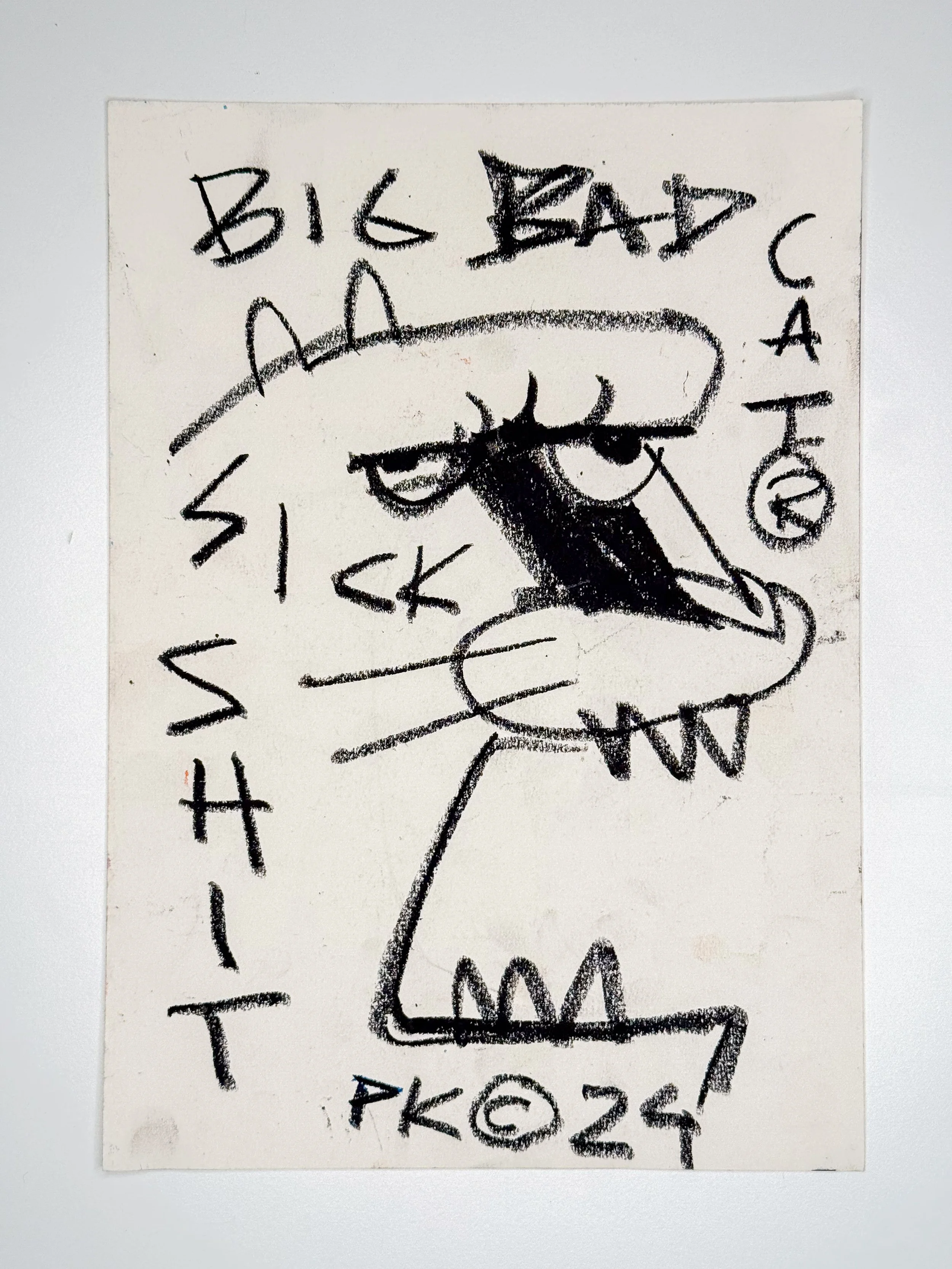 06-big-bad-cat.jpg
