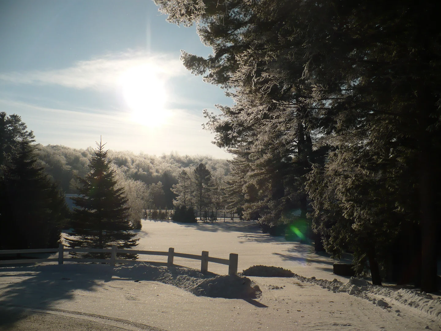 Winter Scenic.jpg
