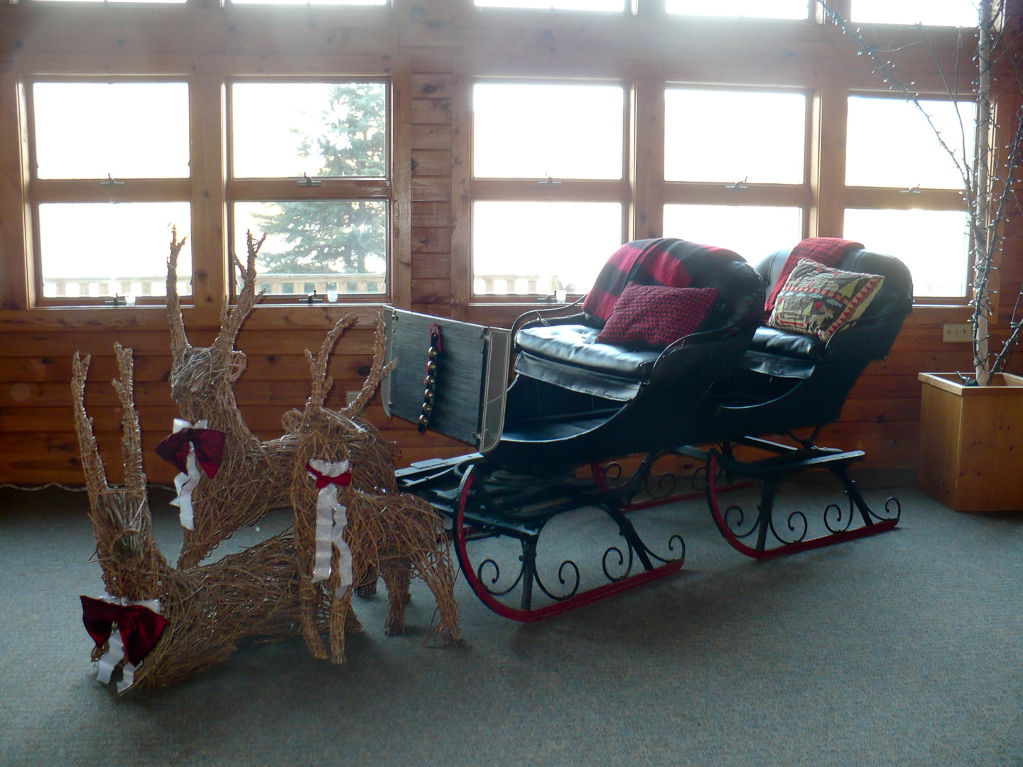 Sleigh (1).jpg