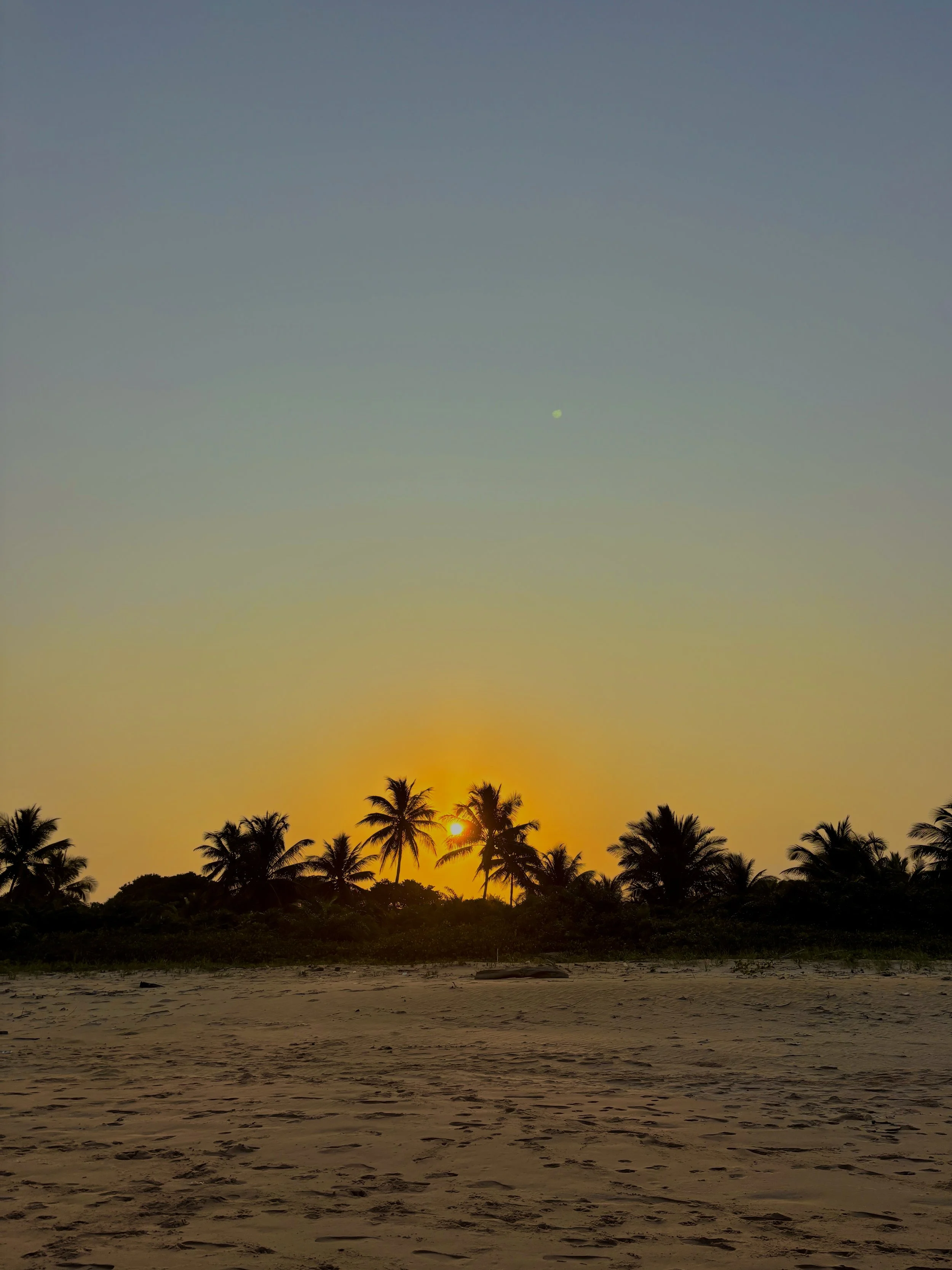 IMG_7671.JPG