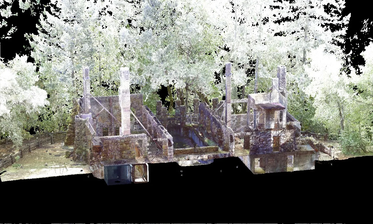 WolfHouse-Section01.jpg