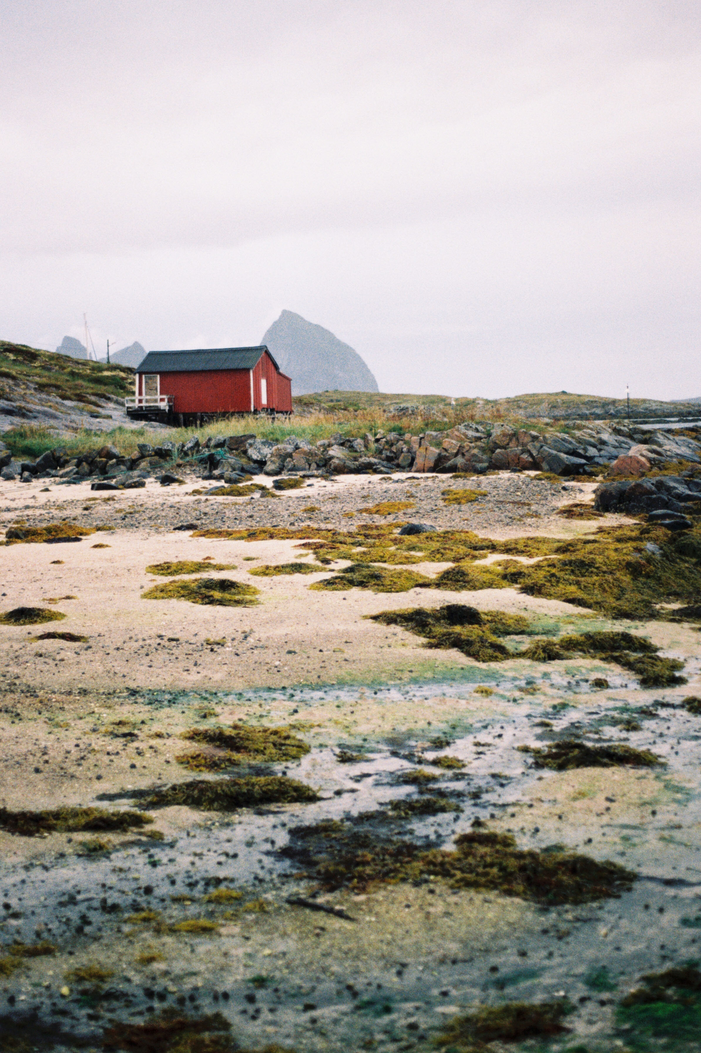 Nordland - 1.jpg