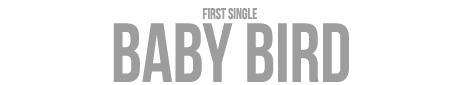 BabyBird-title-font-with-tr.png