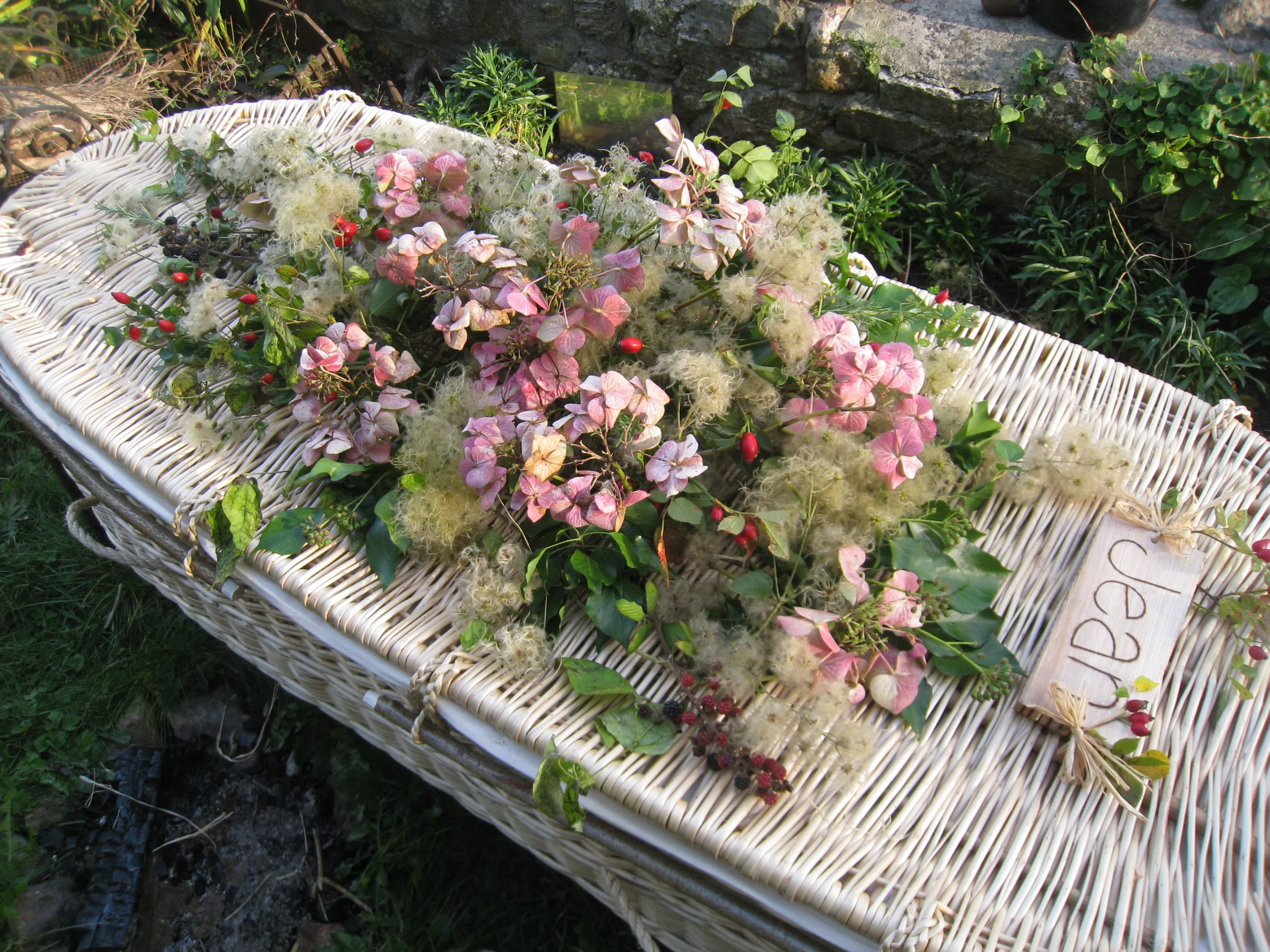 Cradle To Grave | Photo Gallery &mdash; Cradle To Grave Willow