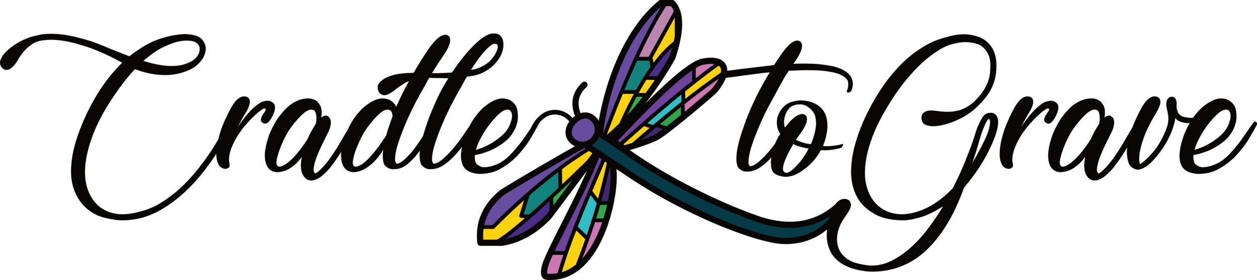 dragonfly logo 01 colour.png