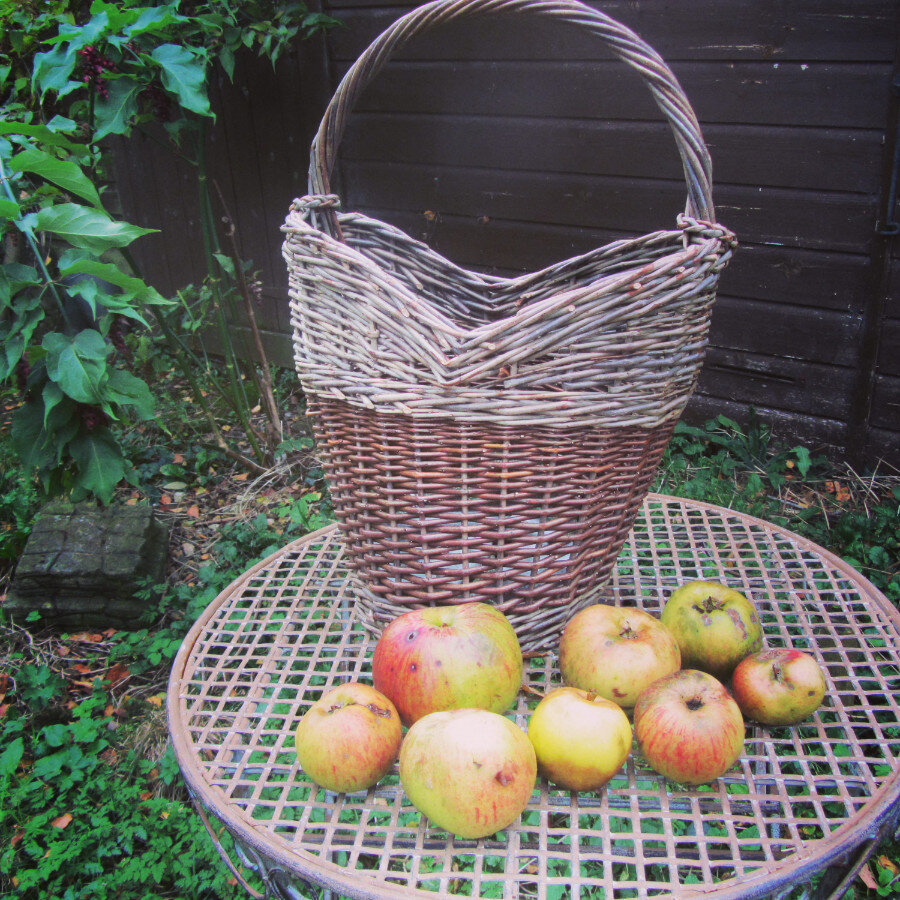 Apple basket £45