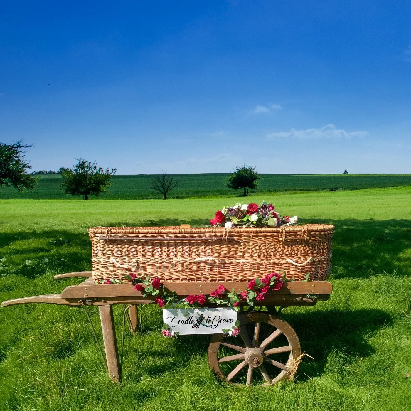Willow coffins are being chosen more and more for a funeral