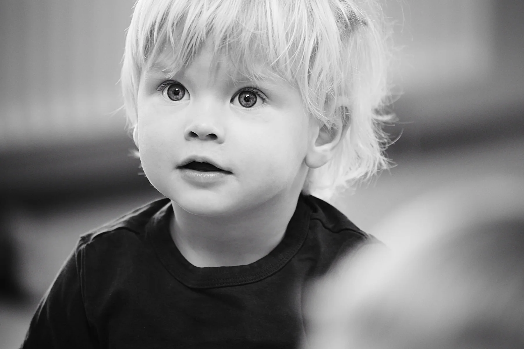 SOESKRAENTEN_V056_LILLEWEB.jpg