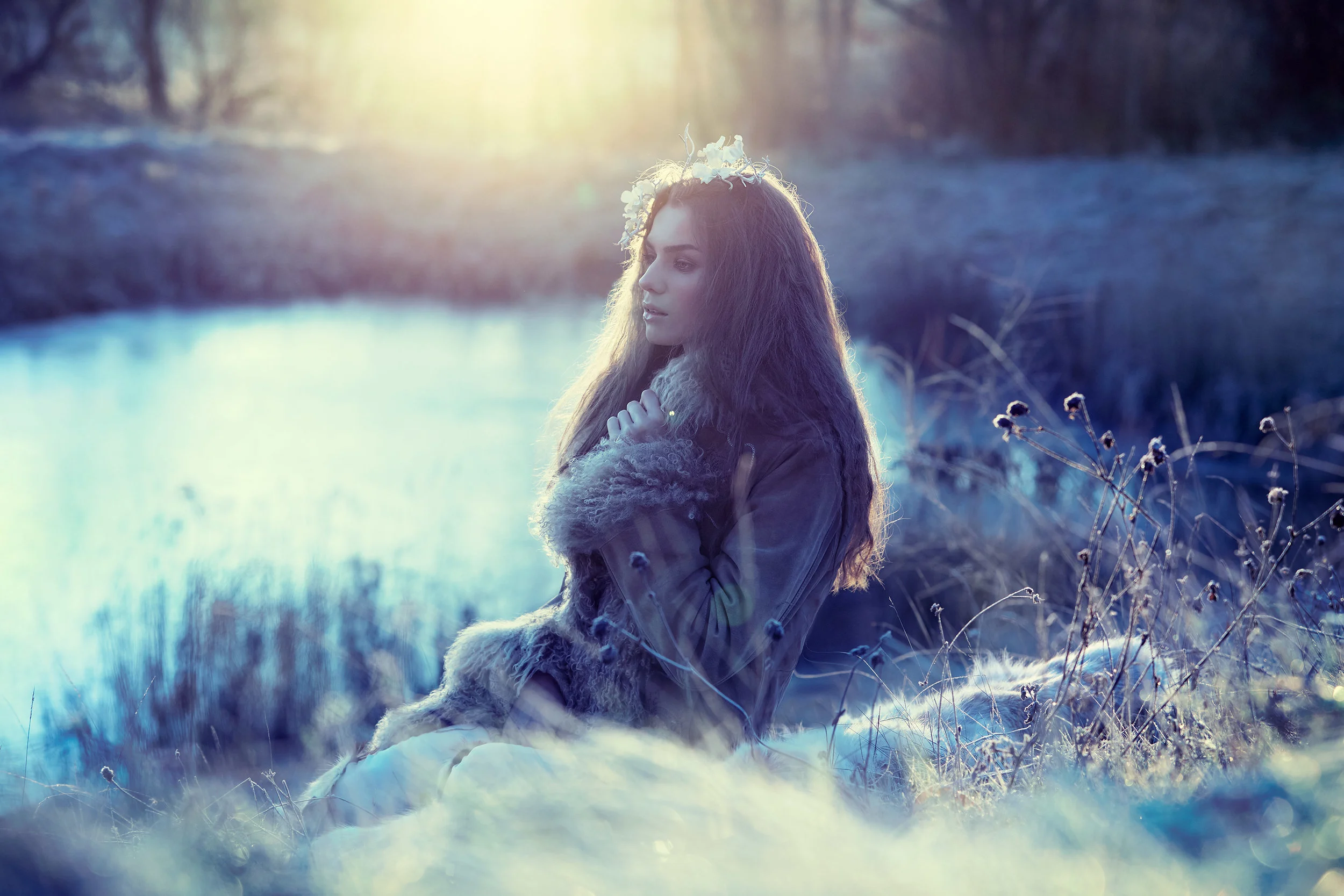 WINTER MORNING