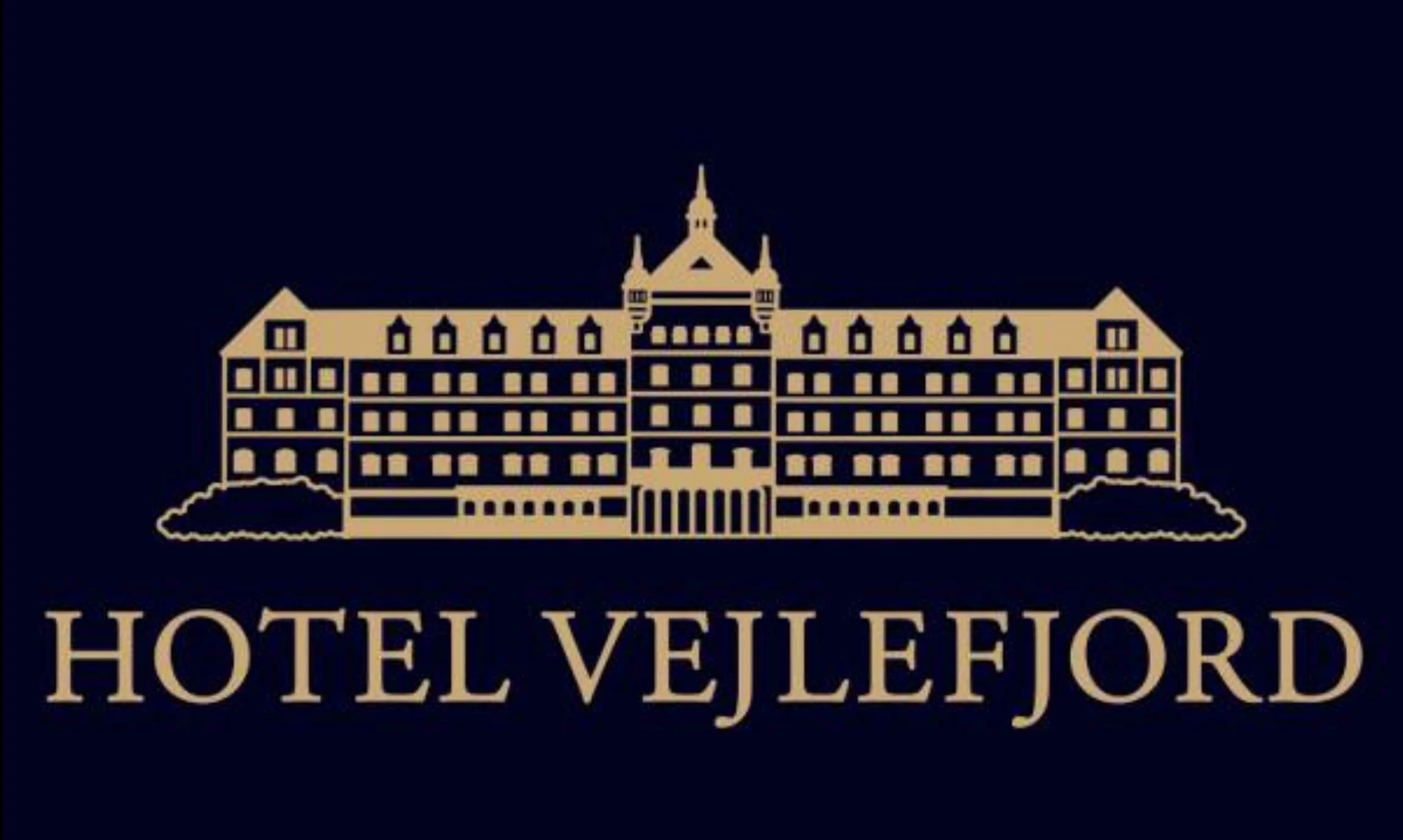 VEJLEFJORD_LOGO_WEB.jpg