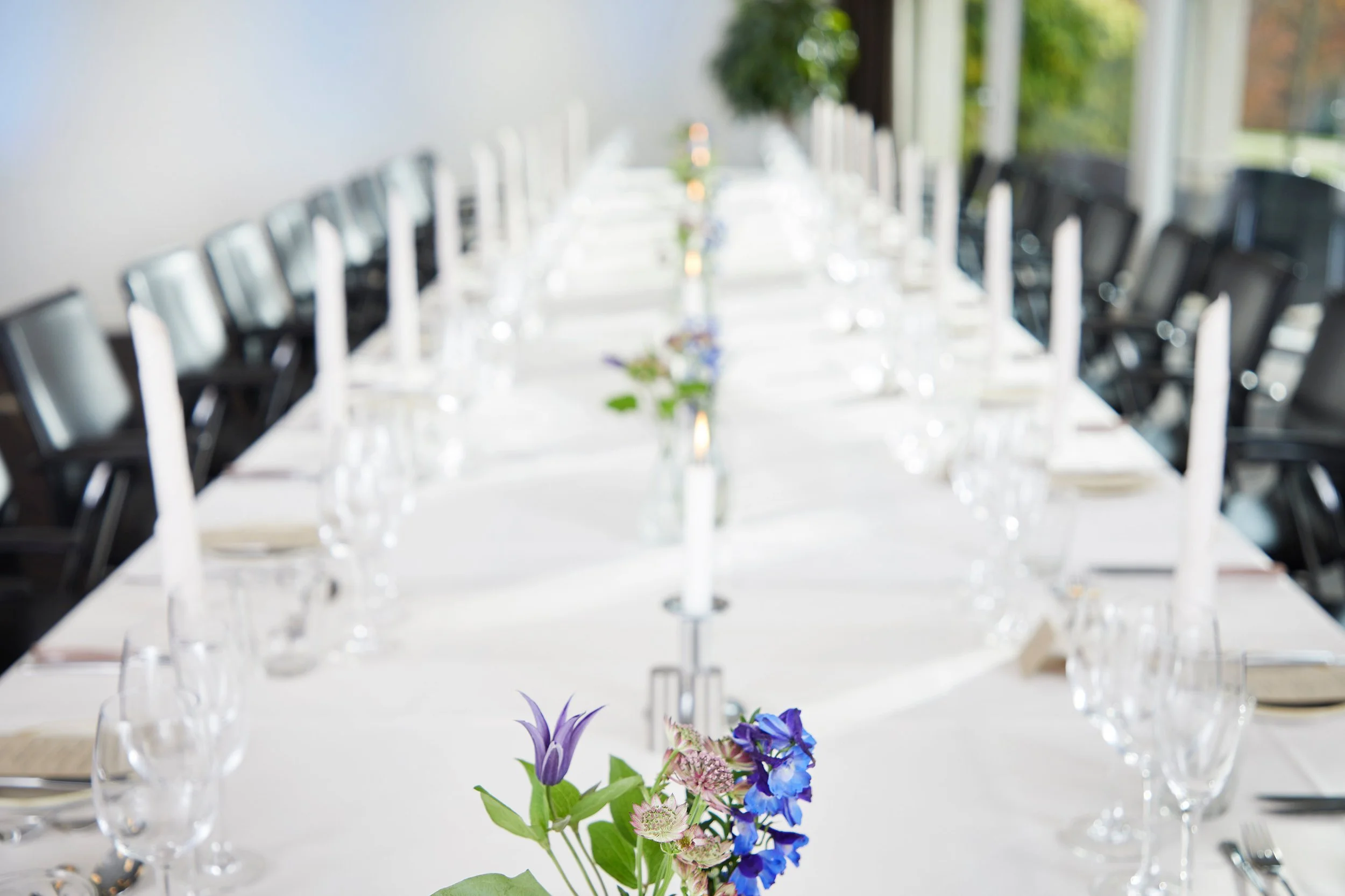 EVENT_VEJLEFJORD_WEB_01.jpg