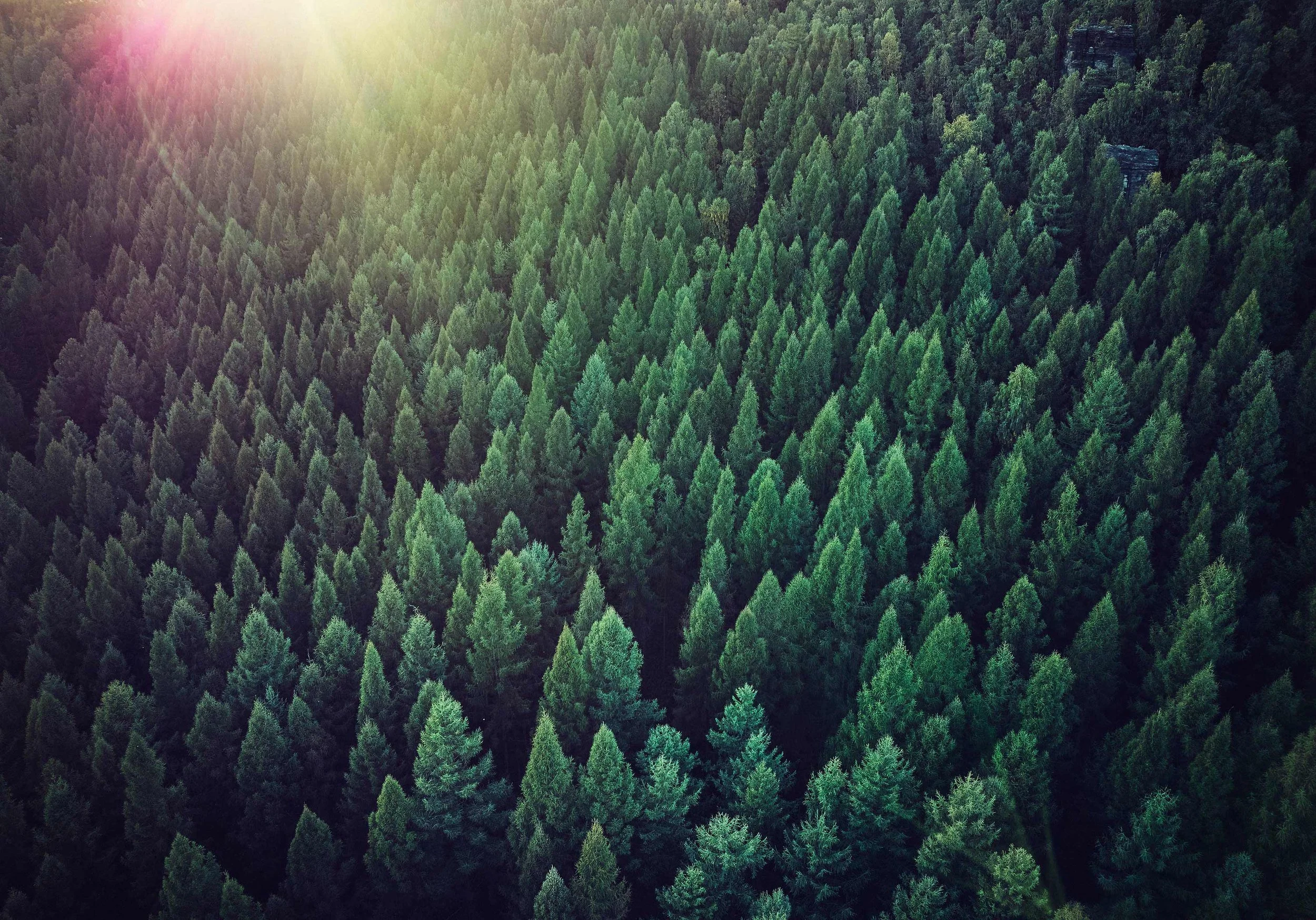  GRENZPLATTE / CZECH REPUBLIC 