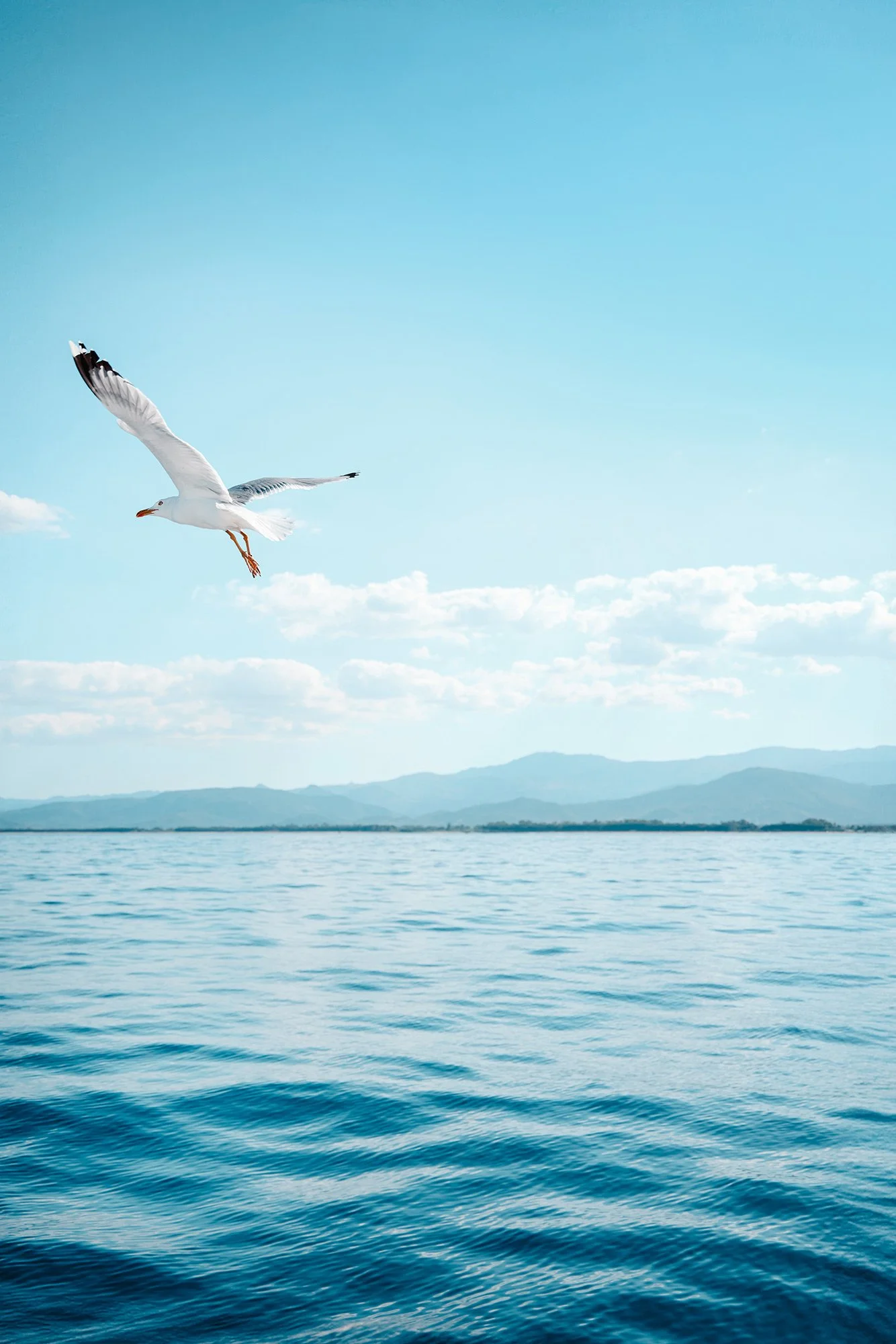  HELIOS QUINTO / SARDINIA 