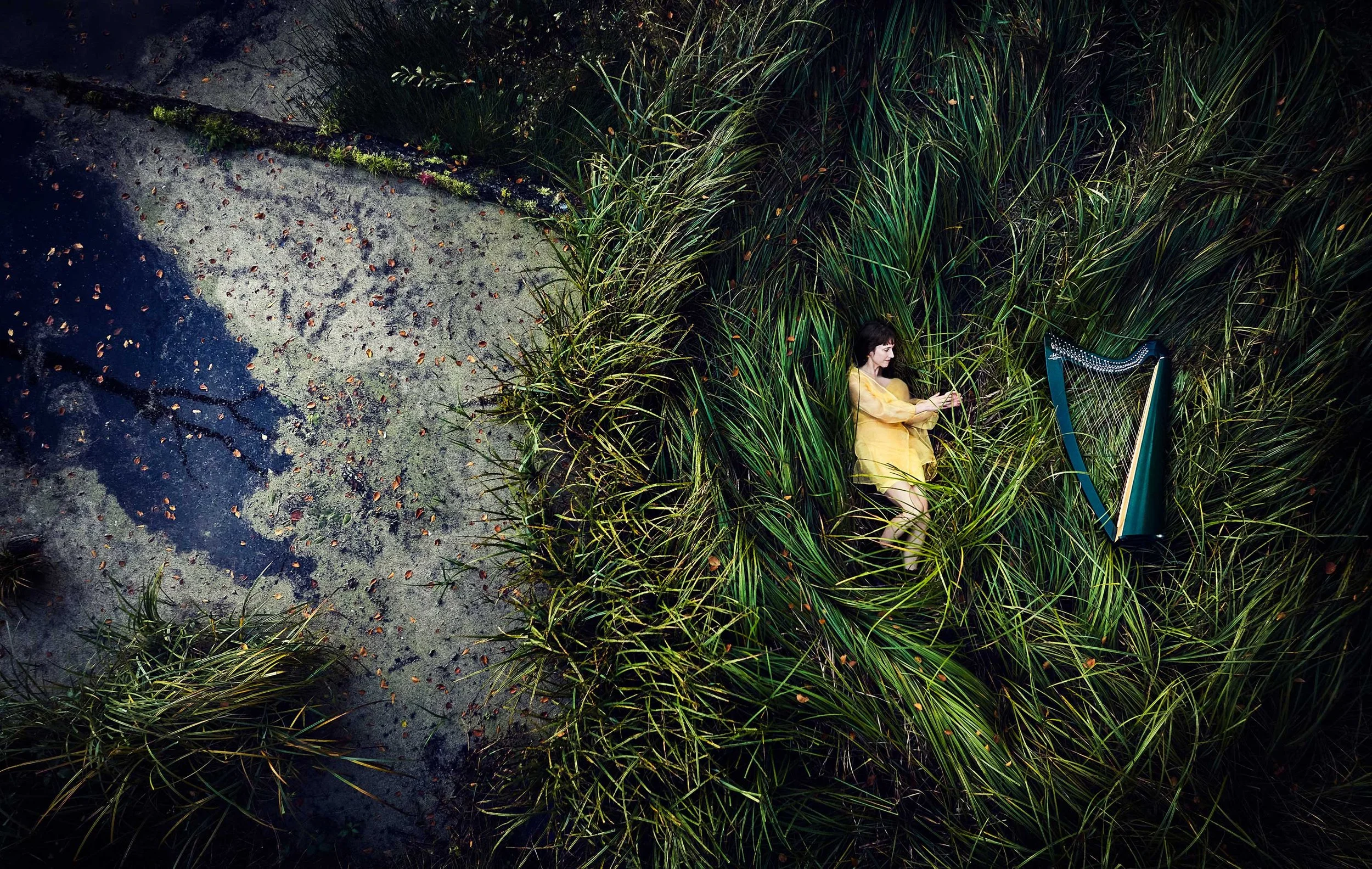  HARPEPLAYER / LUCY HENDRY 